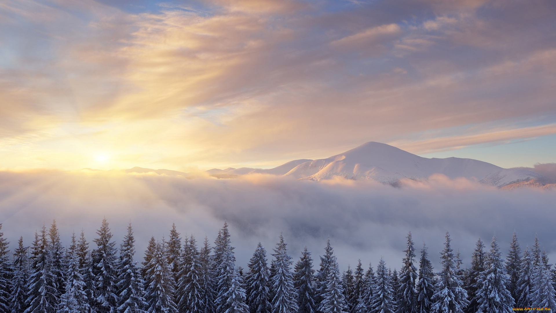 природа, зима, лучи, снег, пейзаж, солнце, горы, лес, туман, ели, вершины, ёлки, вид, облака