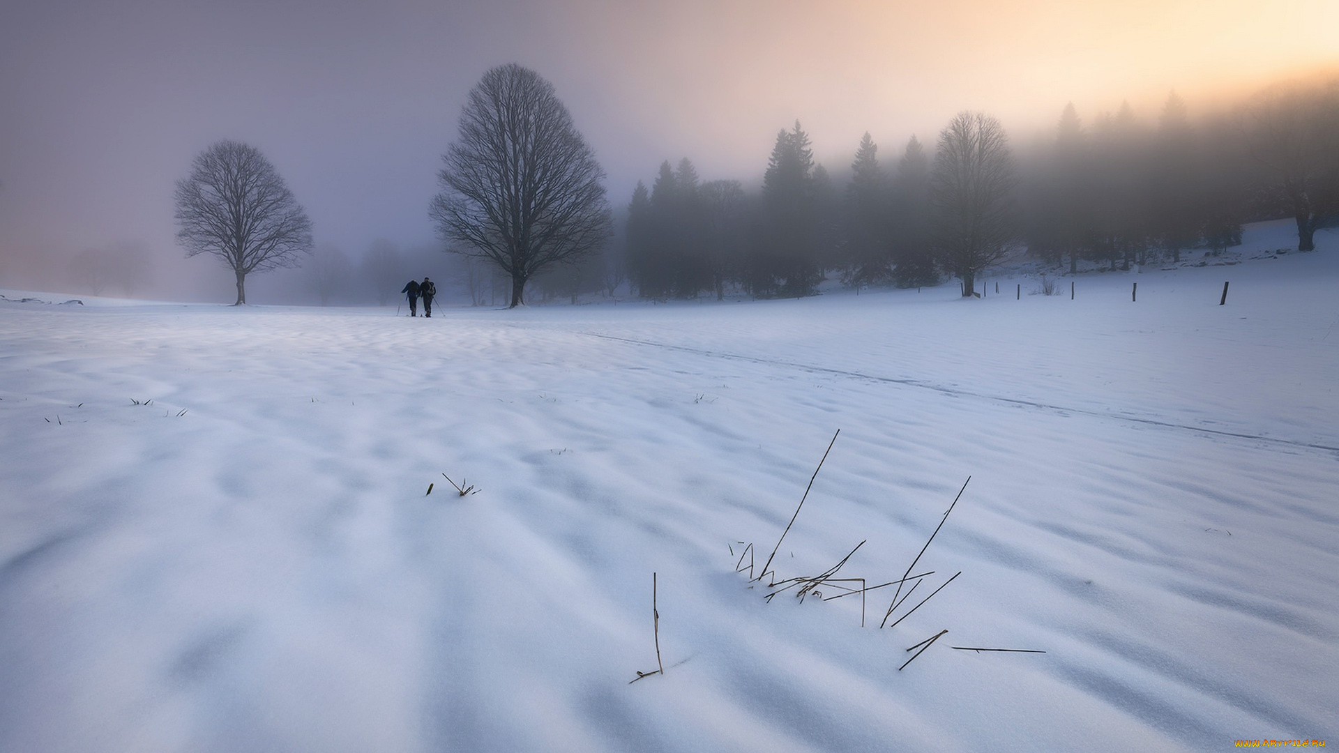 природа, зима, снег, прогулка, утро, туман