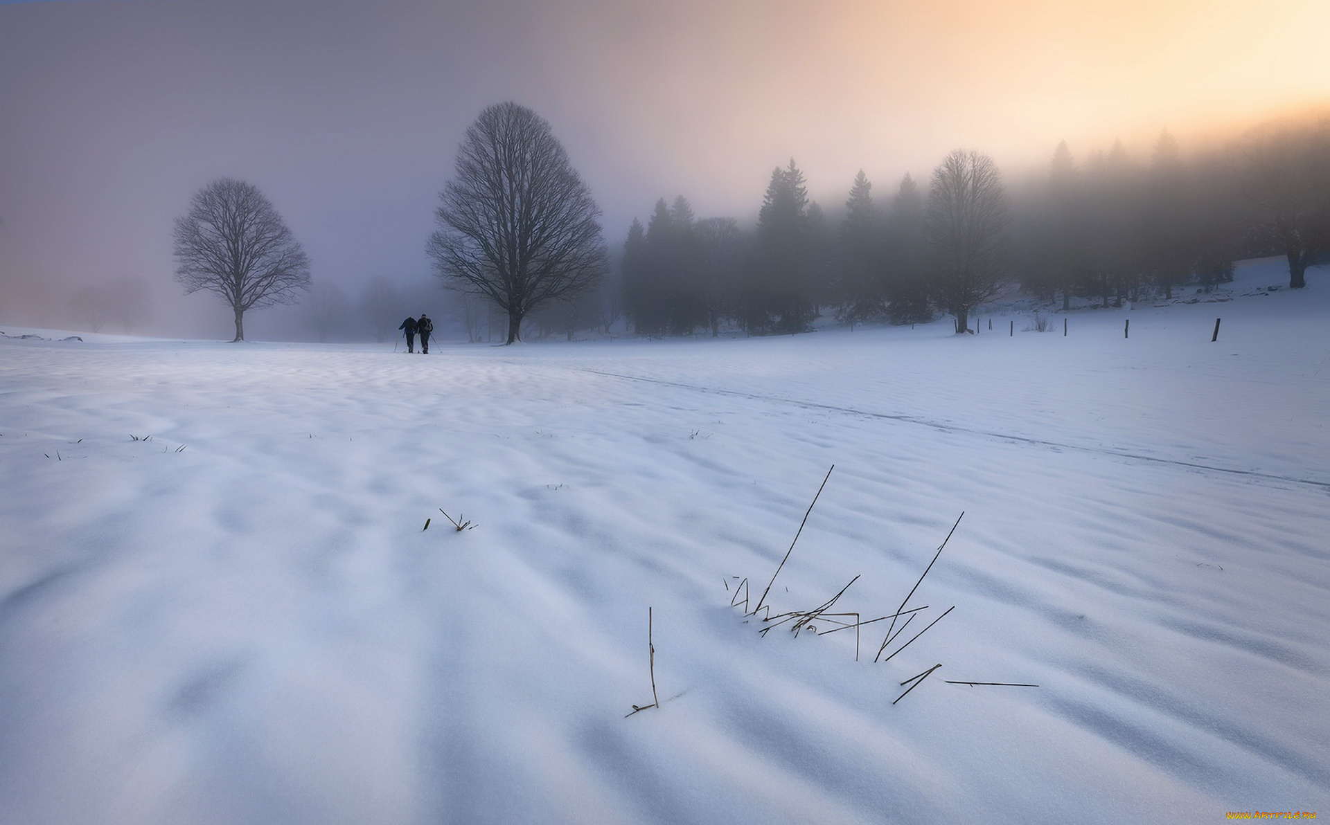 природа, зима, снег, прогулка, утро, туман