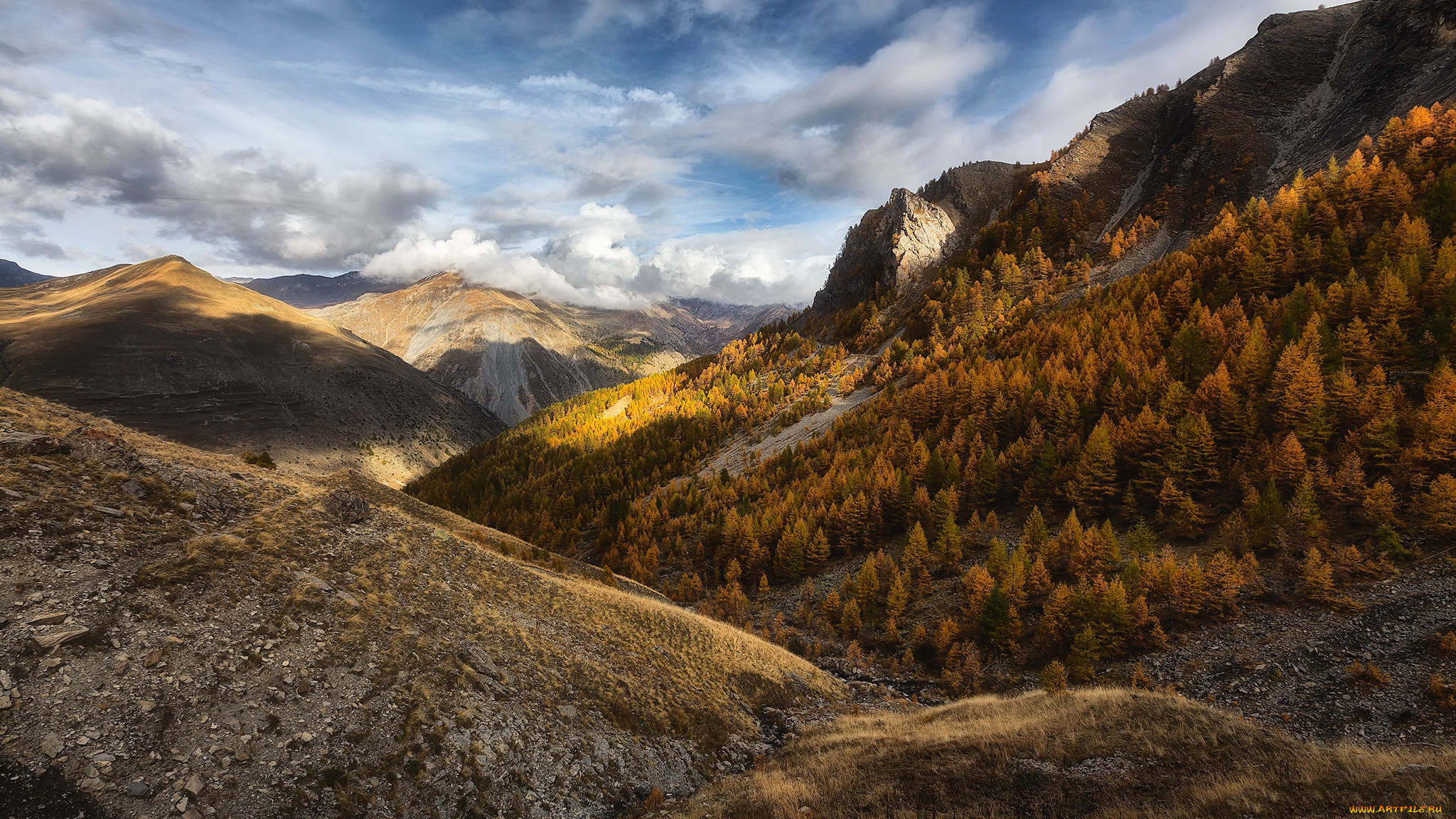 природа, пейзажи, простор