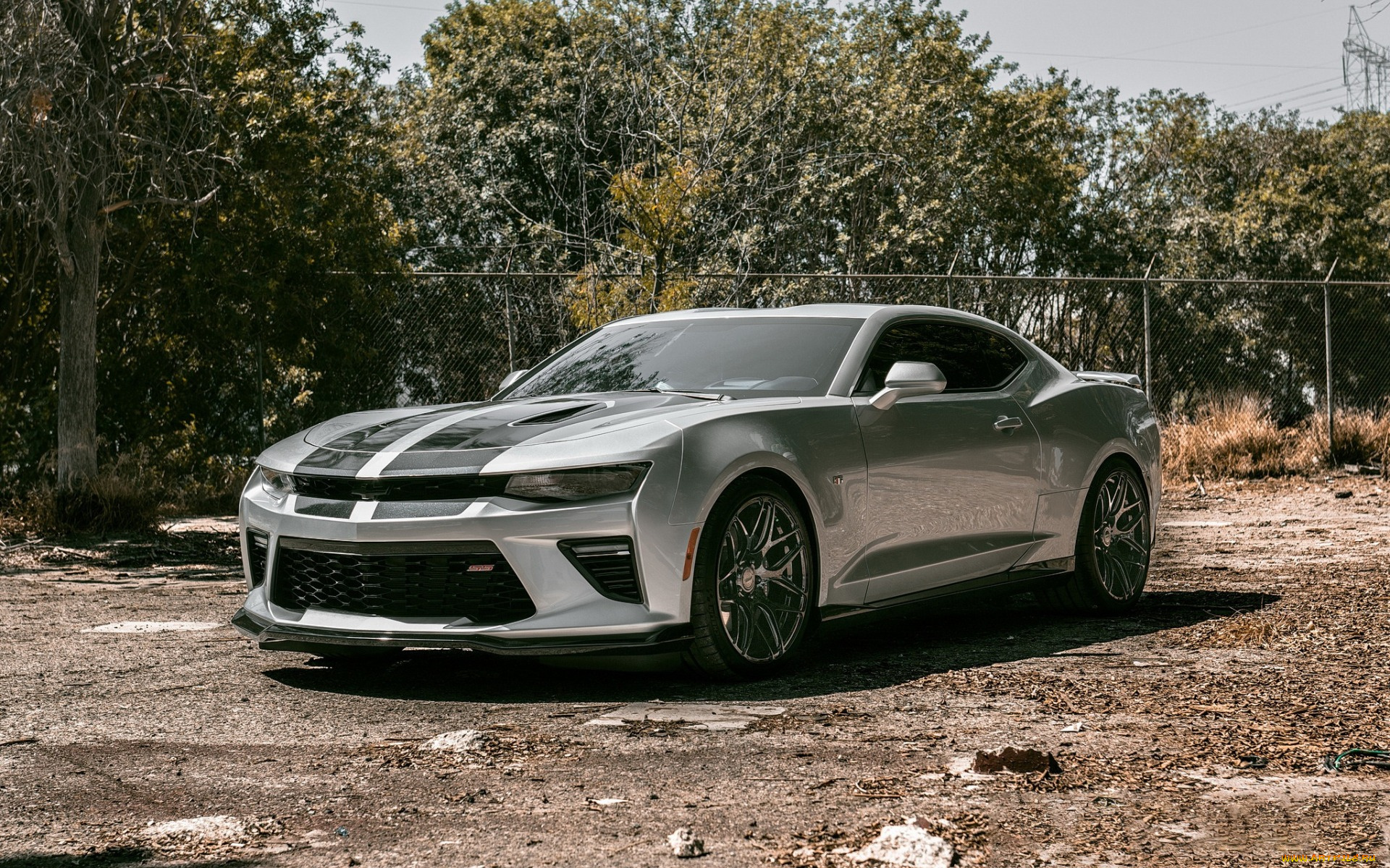 chevrolet, camaro, ss, автомобили, camaro, chevrolet, ss, super, sport, легендарный, американский, мускулистый, парень