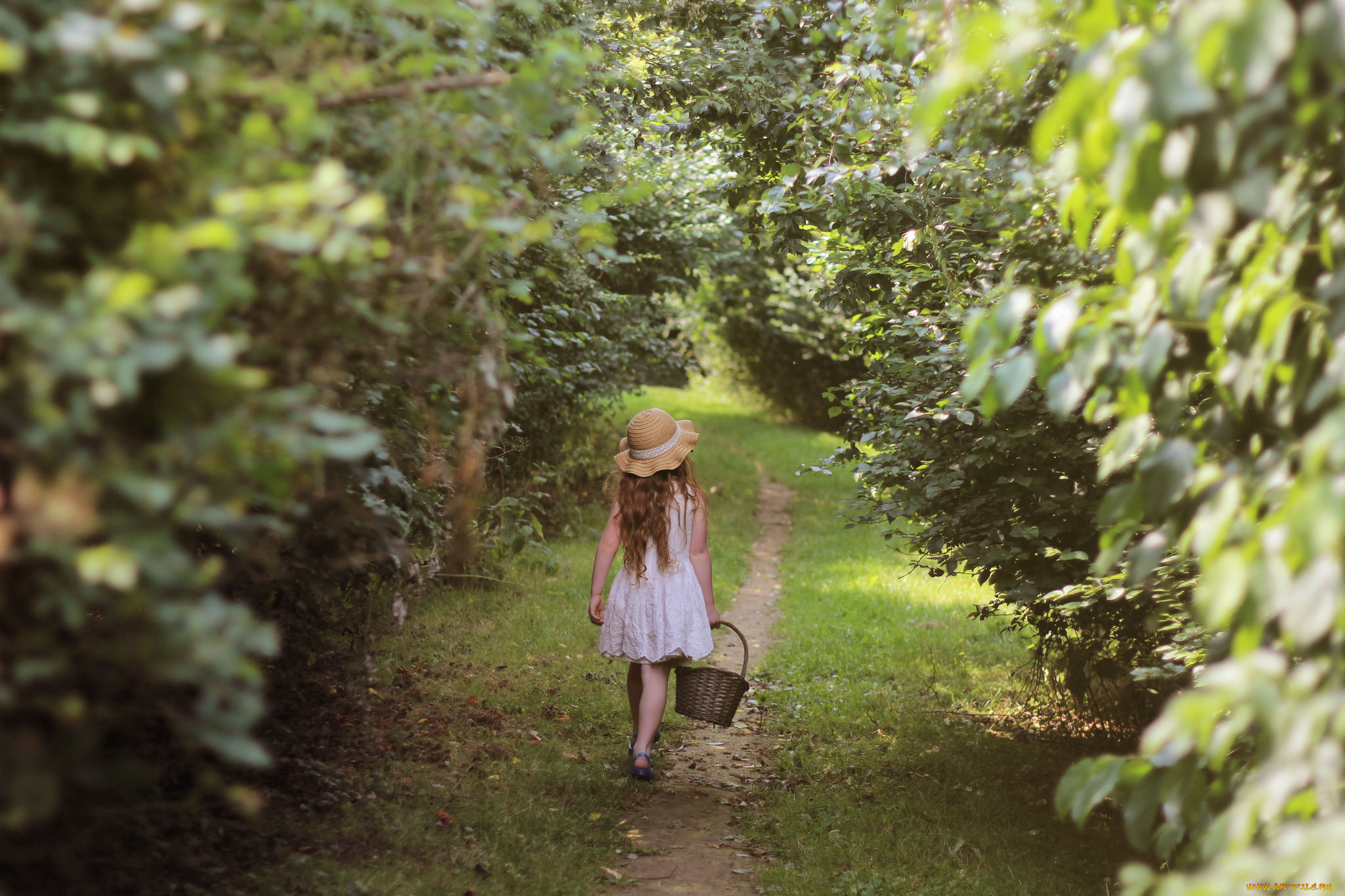 Гуляла девочка в лесу. Девочка в лесу. Фотосессия в лесу. Прогулка по тропинке. Девочка идет по тропинке.