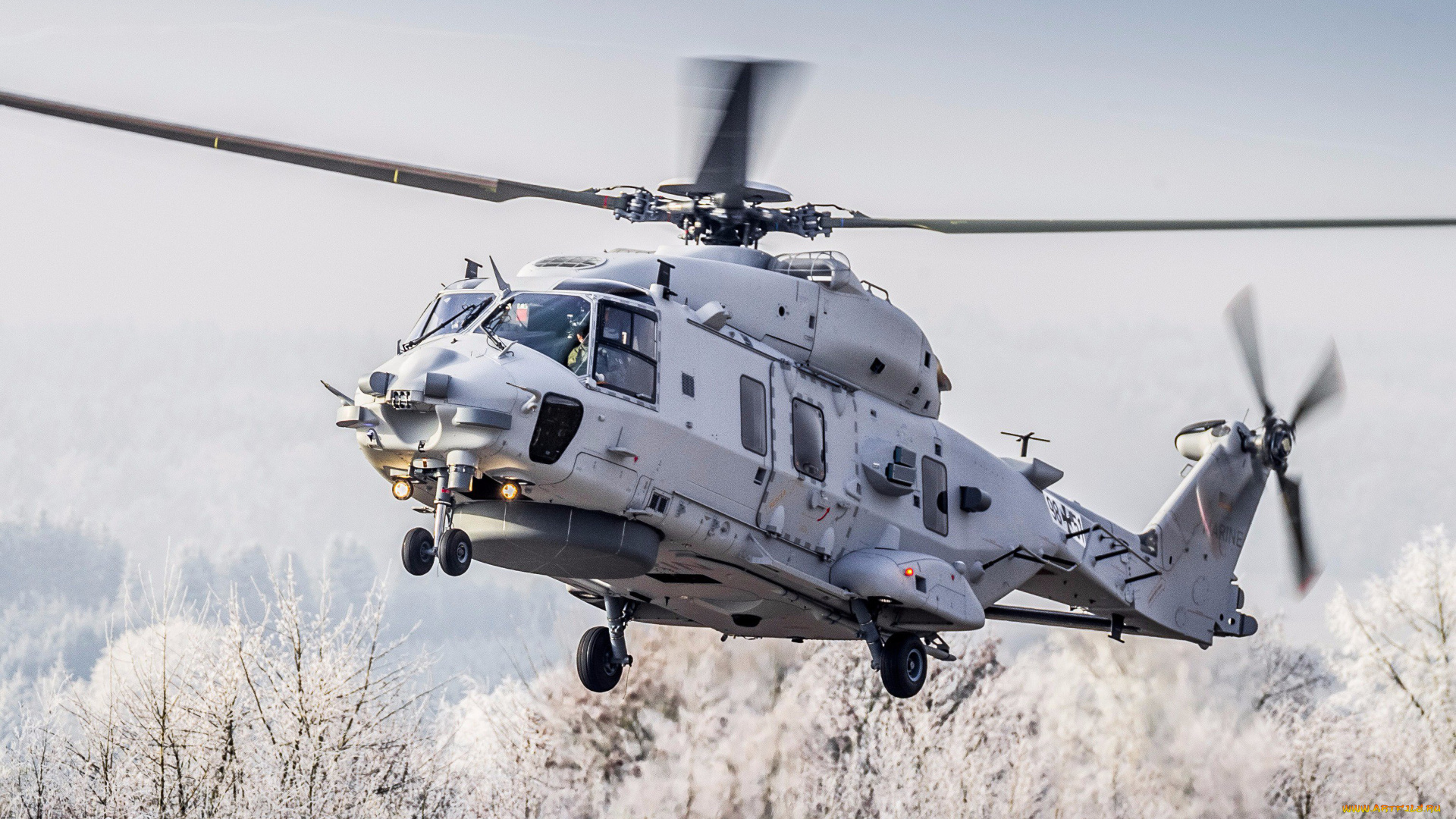 авиация, вертолёты, nh90, sea, lion, 4k, военные, вертолеты, вмс, германии, nhi, бундесвер, армия