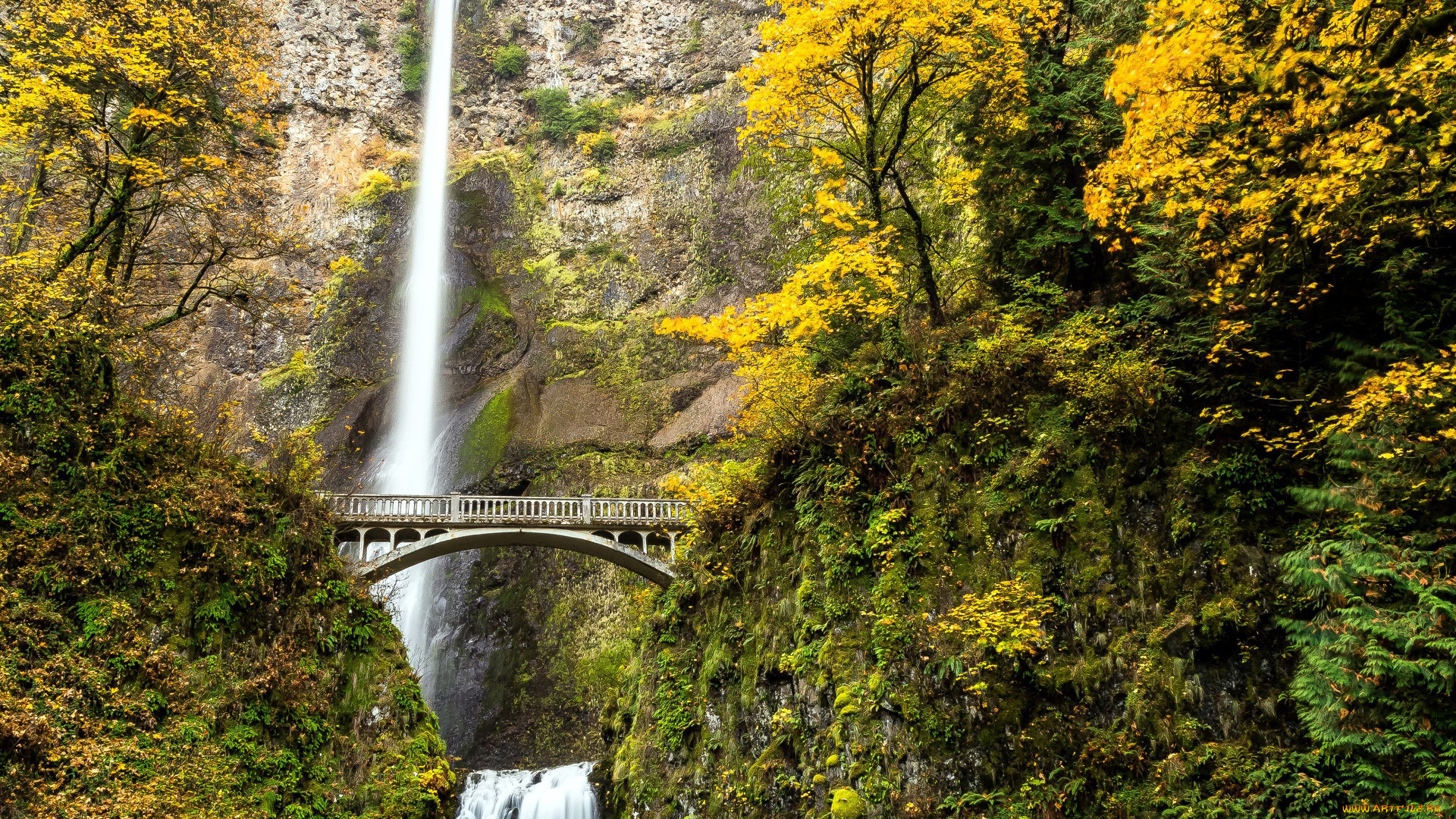 multnomah, falls, oregon, природа, водопады, multnomah, falls