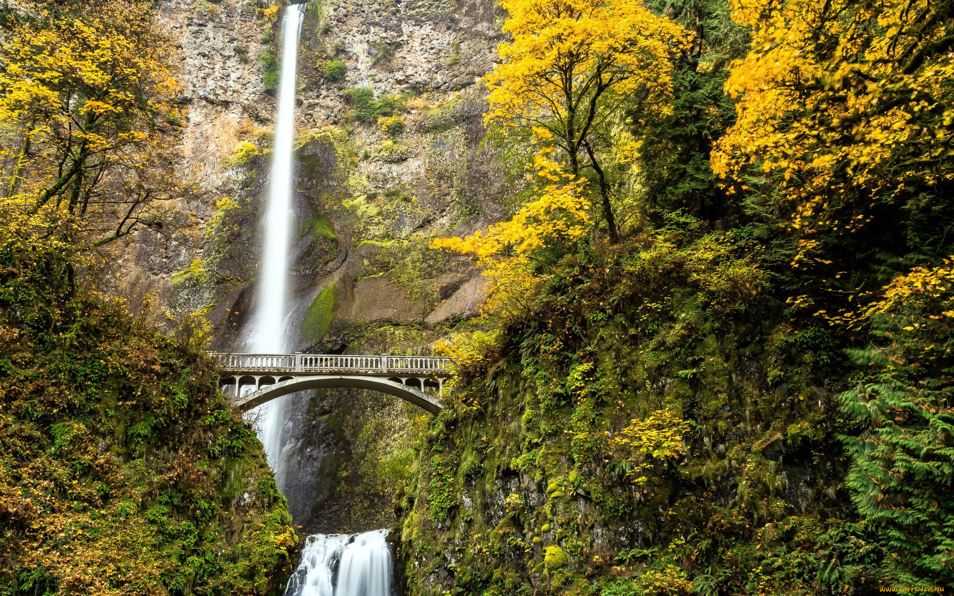 multnomah, falls, oregon, природа, водопады, multnomah, falls