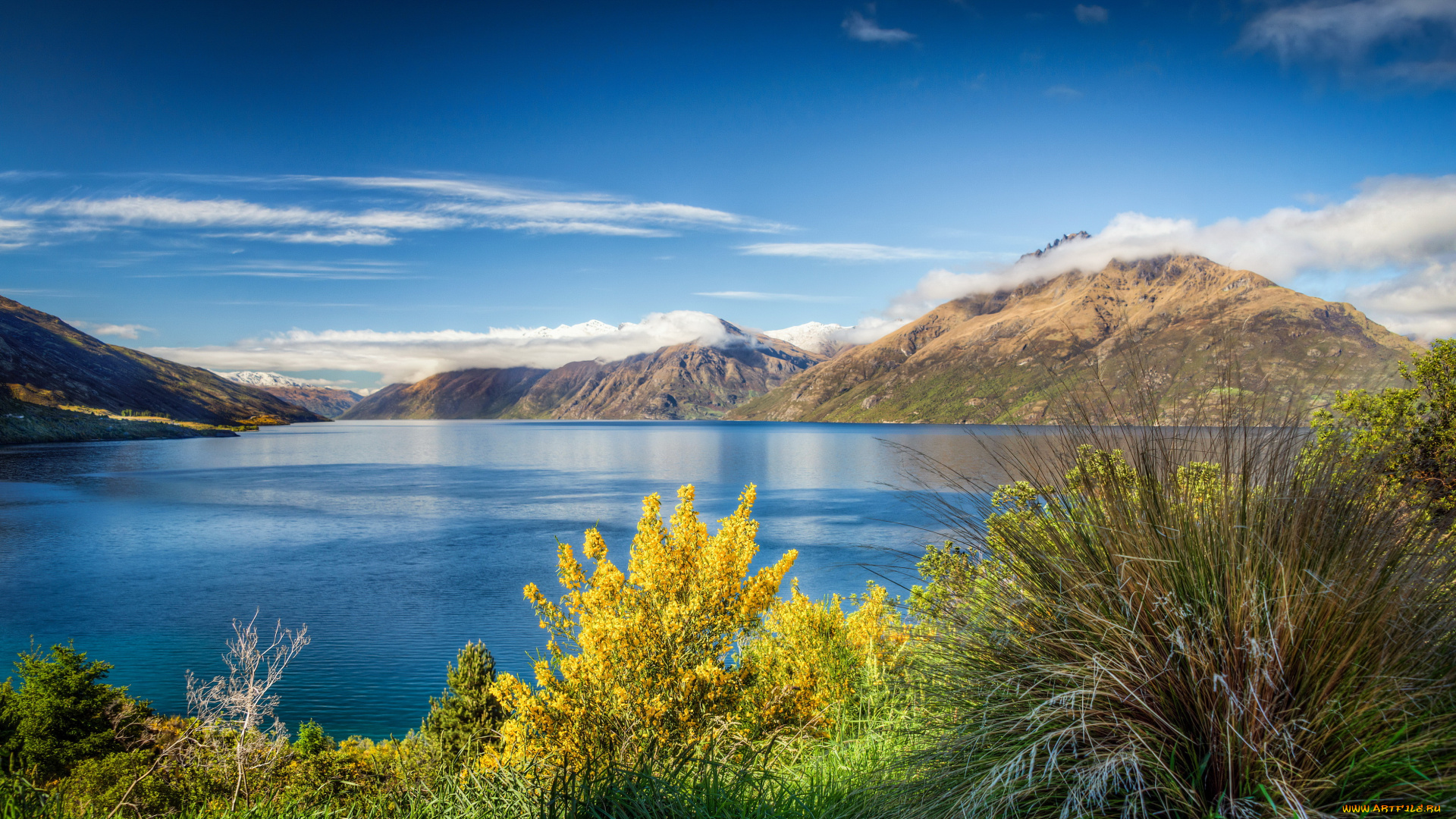 new, zealand, , lake, wakatipu, природа, реки, озера, new, zealand, lake, wakatipu, горы, озеро, трава