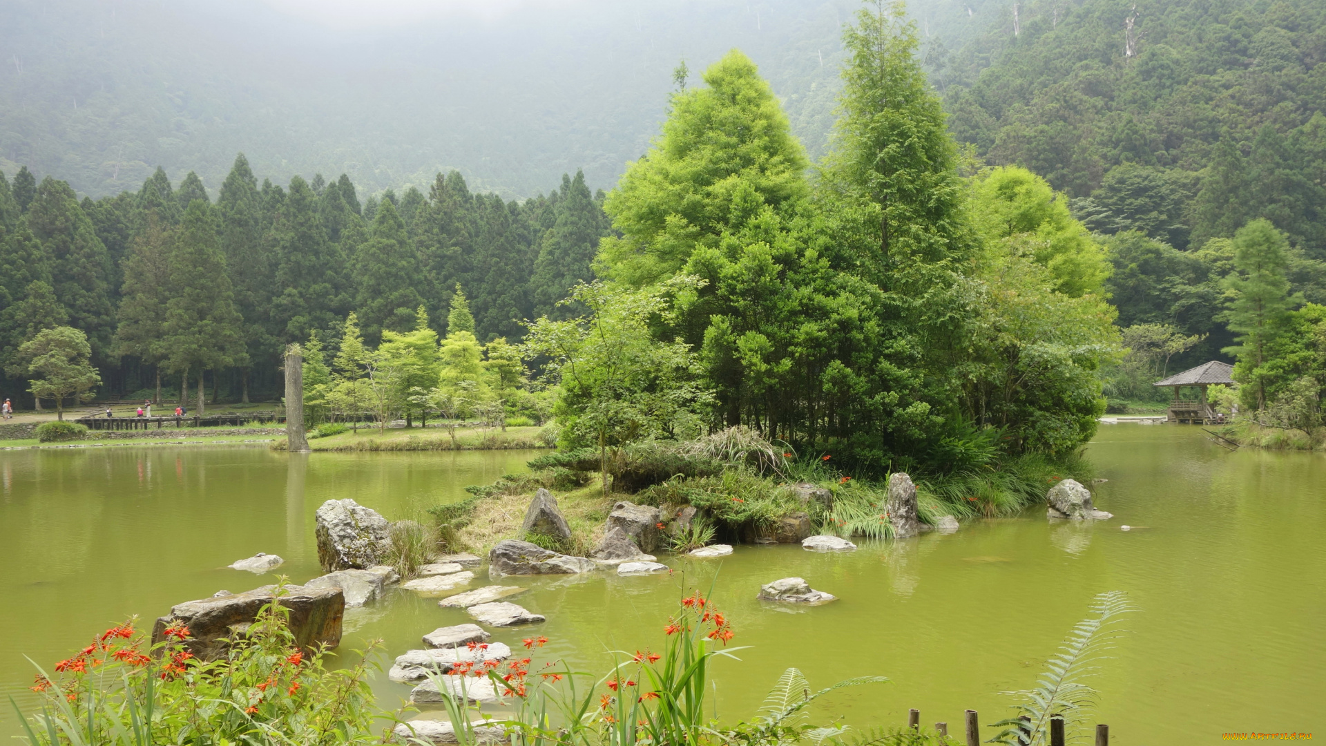 тайвань, природа, парк, кусты, деревья, пруд