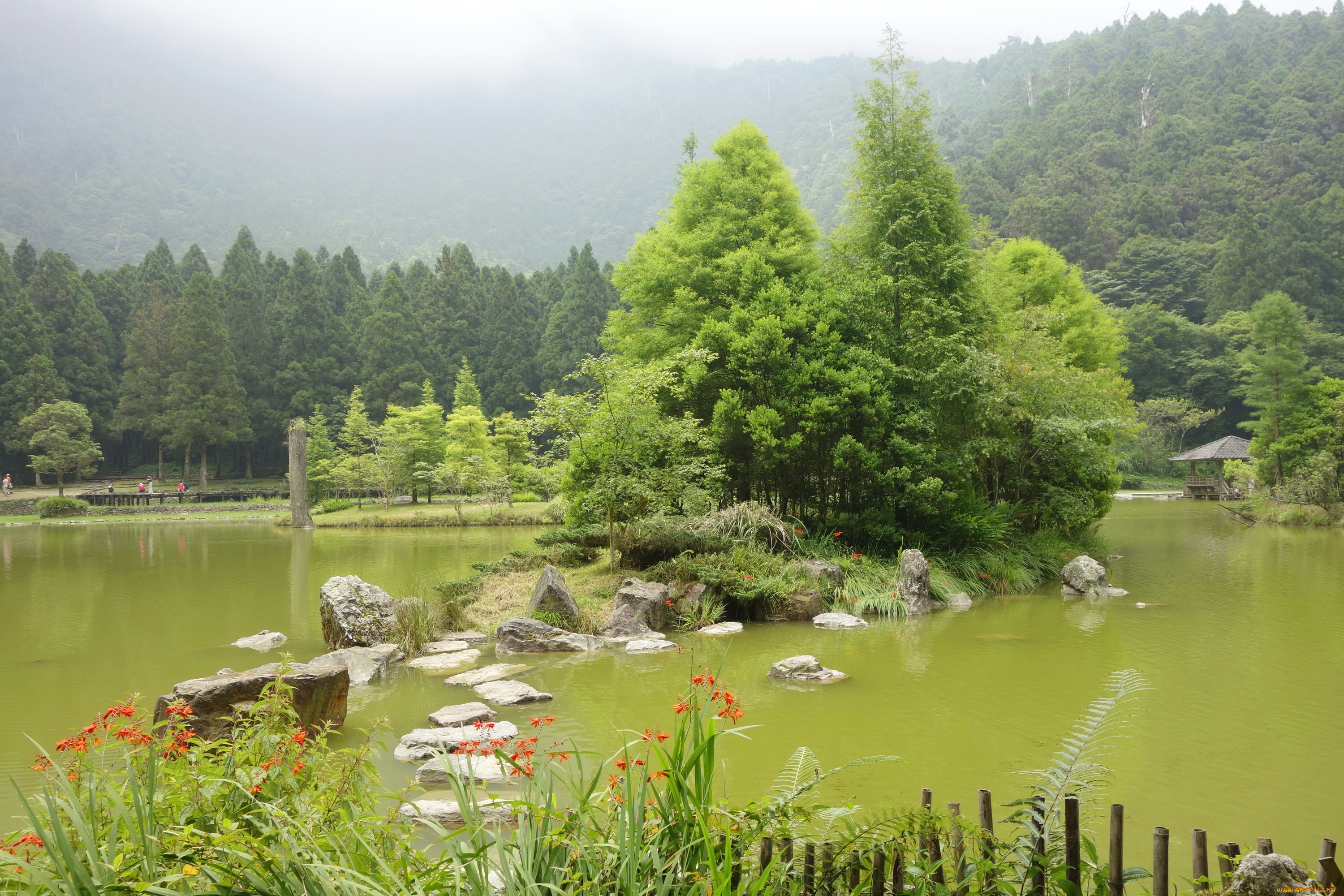 тайвань, природа, парк, кусты, деревья, пруд
