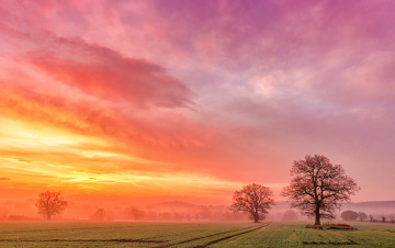 Картинка природа поля деревья туман облака рассвет