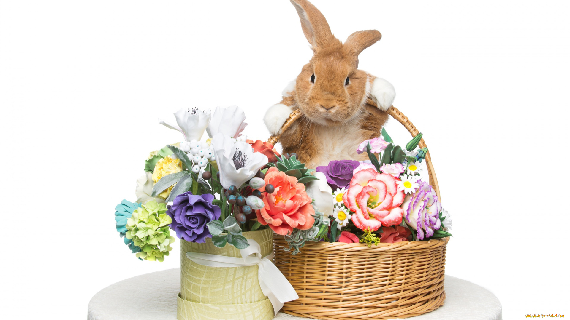 животные, кролики, , зайцы, цветы, flowers, spring, eggs, кролик, happy, rabbit
