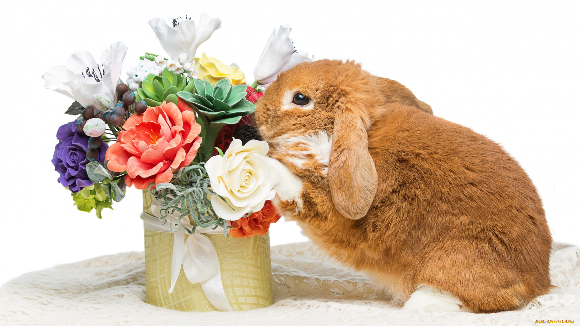 животные, кролики, , зайцы, цветы, flowers, spring, eggs, кролик, happy, rabbit