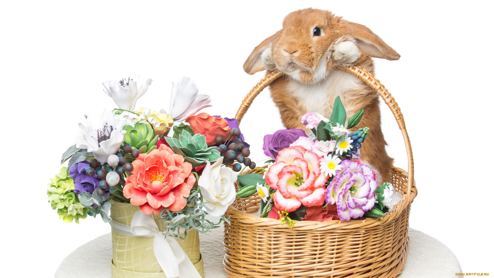 животные, кролики, , зайцы, eggs, кролик, rabbit, happy, цветы, flowers, spring