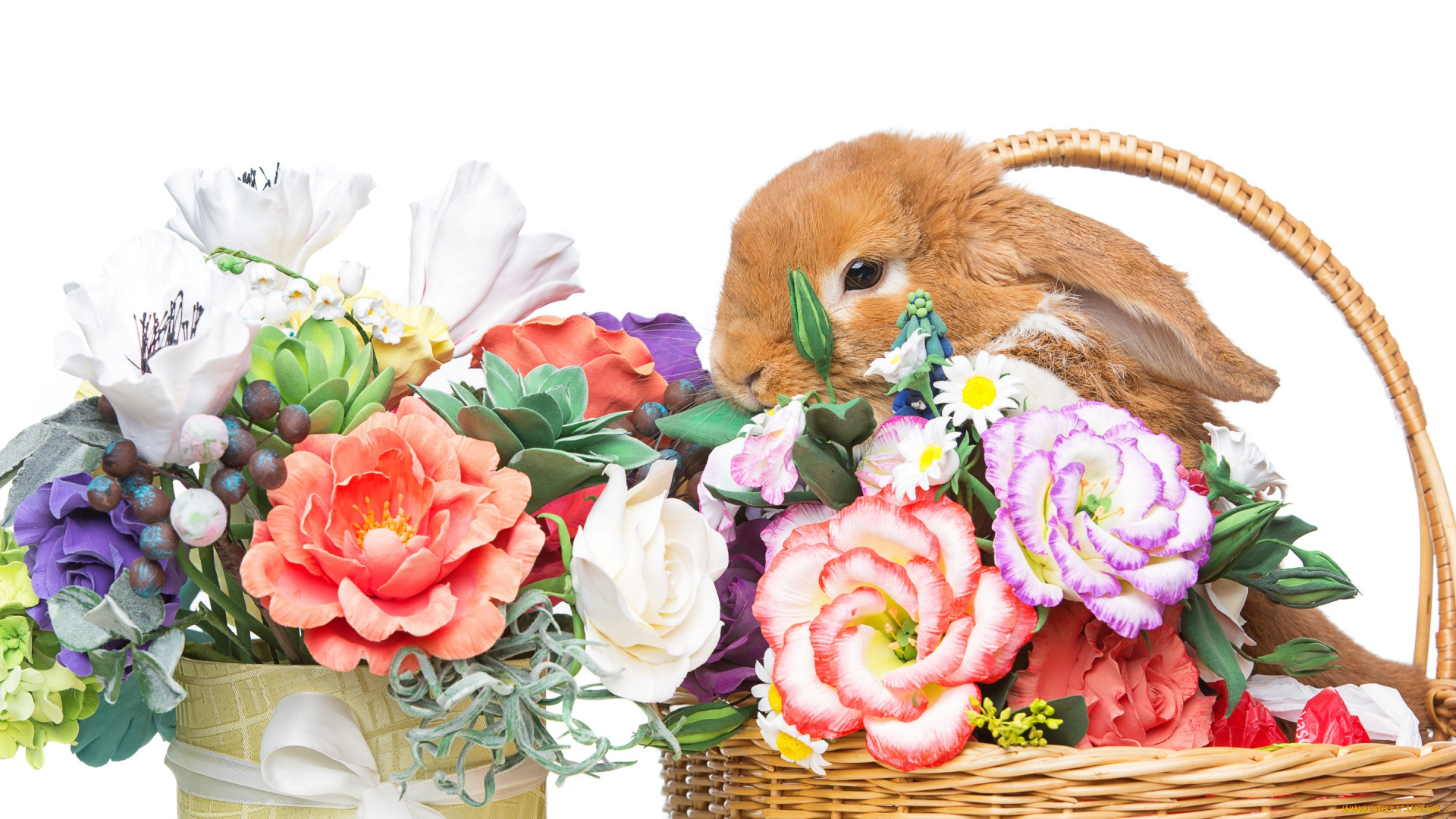 животные, кролики, , зайцы, flowers, spring, цветы, eggs, кролик, happy, rabbit