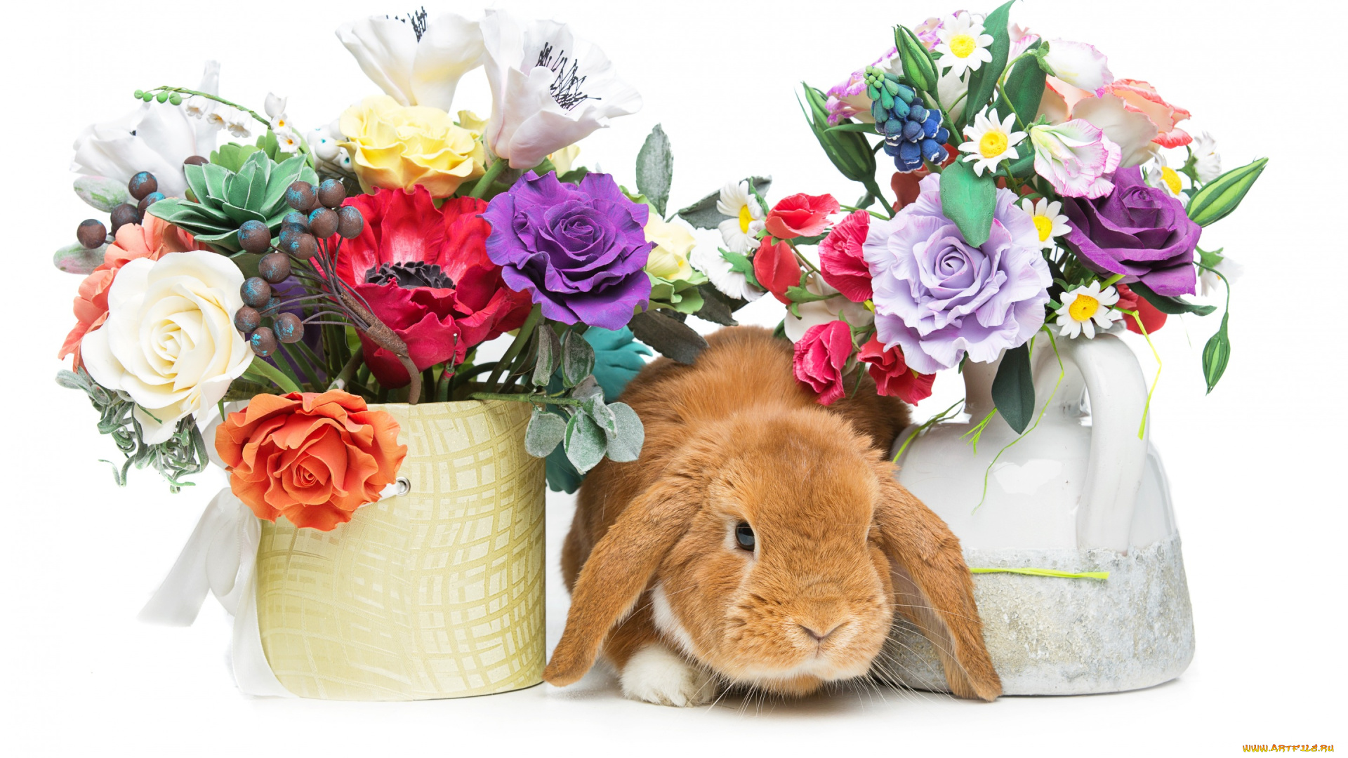 животные, кролики, , зайцы, spring, eggs, кролик, happy, rabbit, flowers, цветы