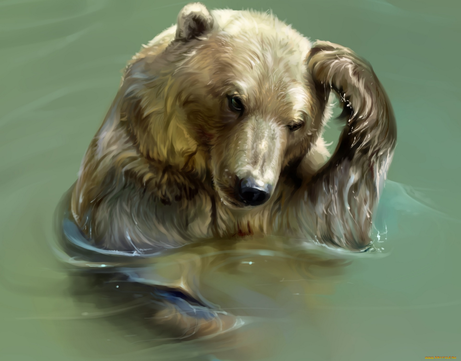 рисованное, животные, , медведи, водоем