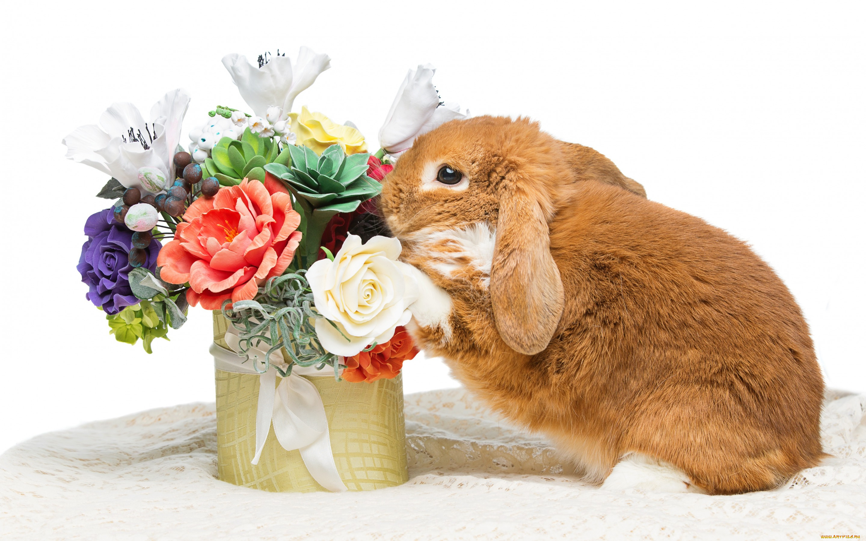 животные, кролики, , зайцы, цветы, flowers, spring, eggs, кролик, happy, rabbit