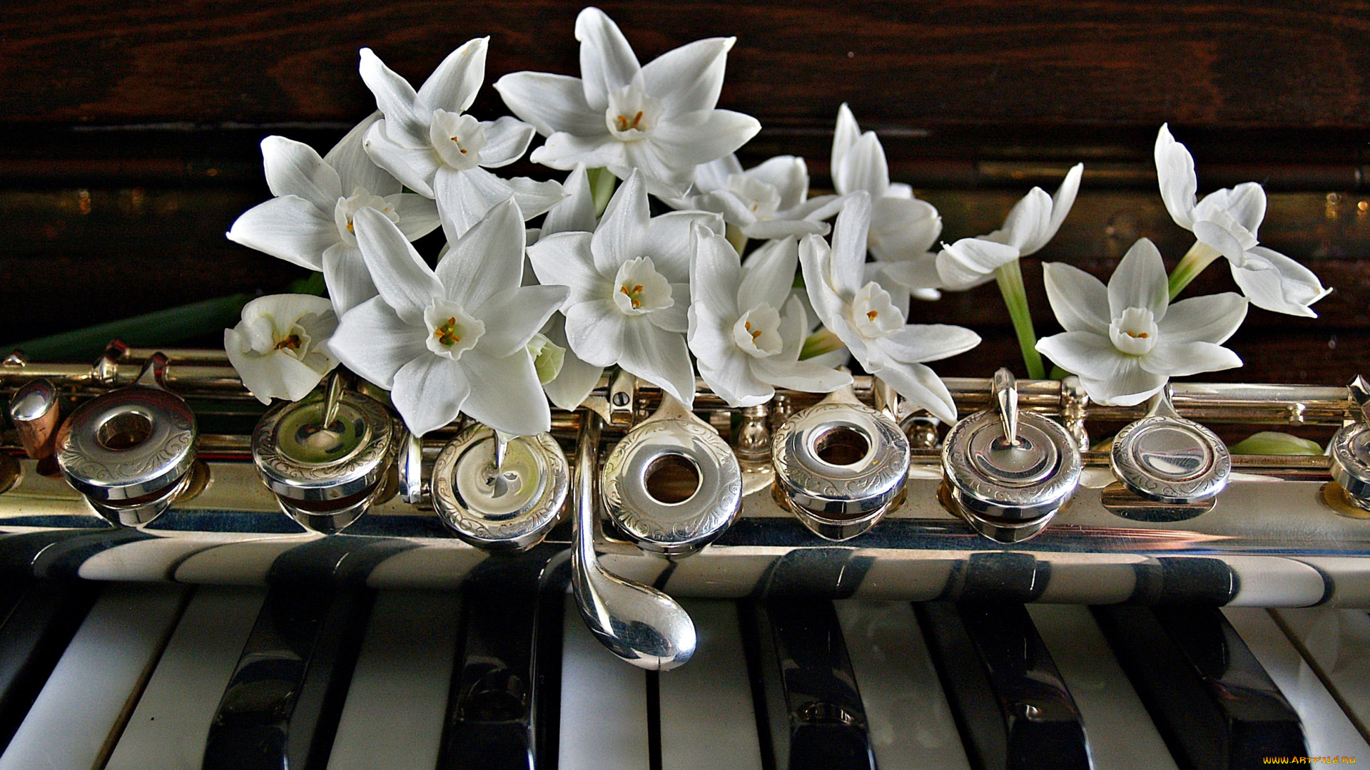 музыка, -музыкальные, инструменты, клавиши, пианино, цветы