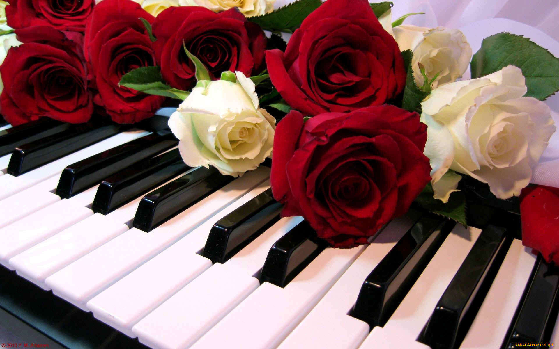 музыка, -музыкальные, инструменты, клавиши, пианино, цветы