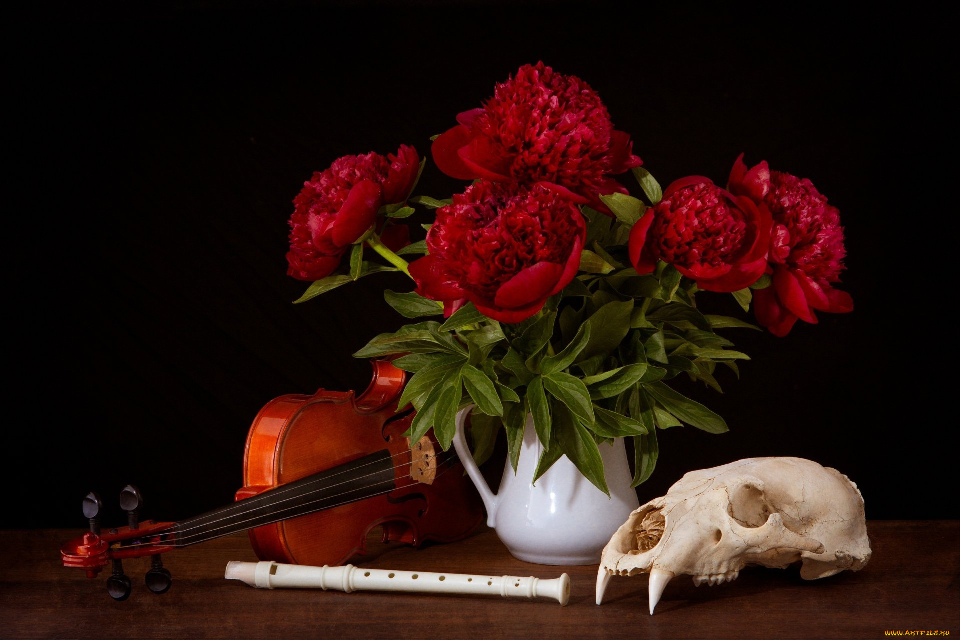 музыка, -музыкальные, инструменты, дудка, скрипка, череп, цветы