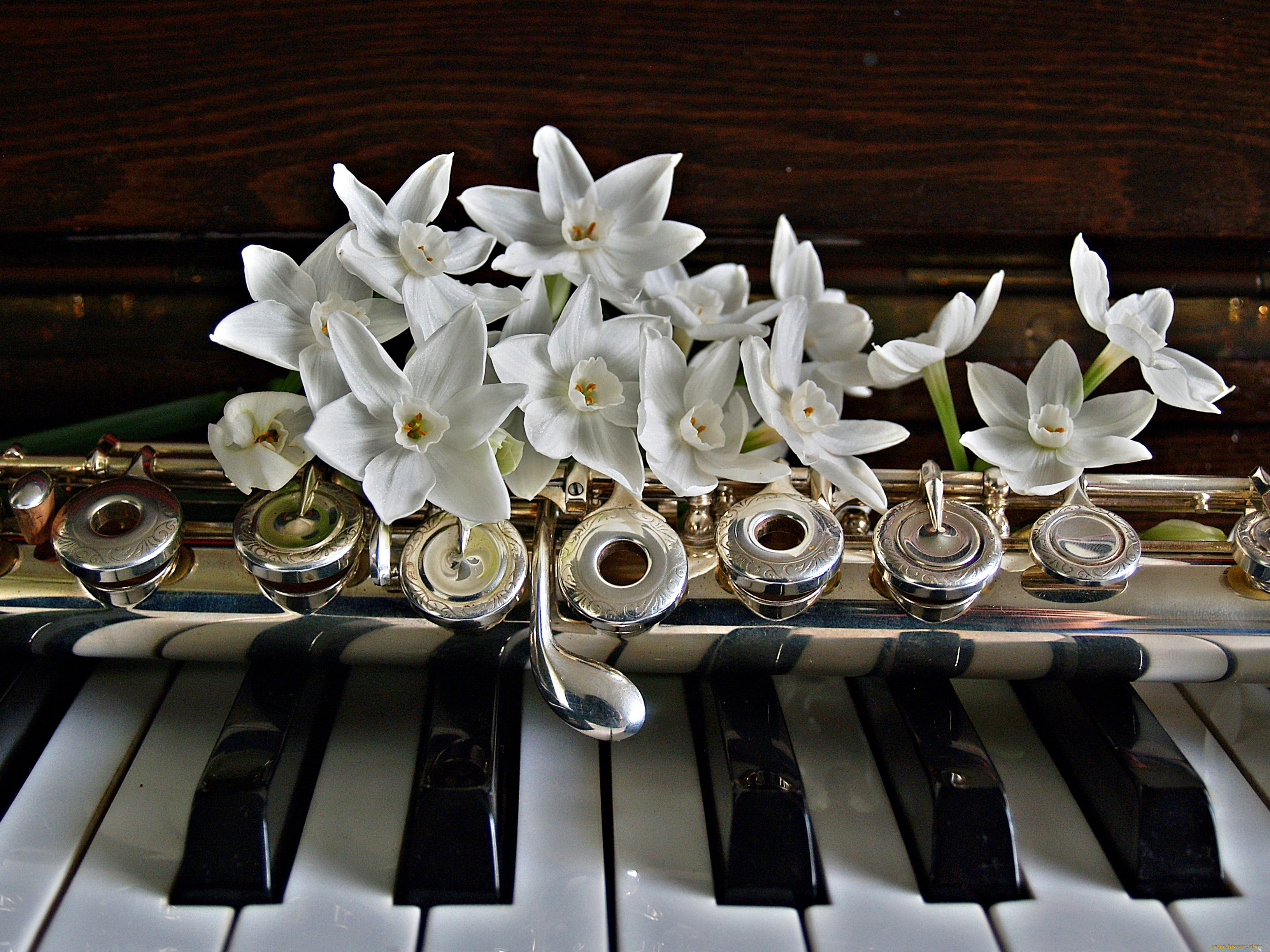 Флейта в цветах. Музыкальные инструменты и цветы. Музыкальный букет цветов. Цветы для музыканта. Цветы на рояле.