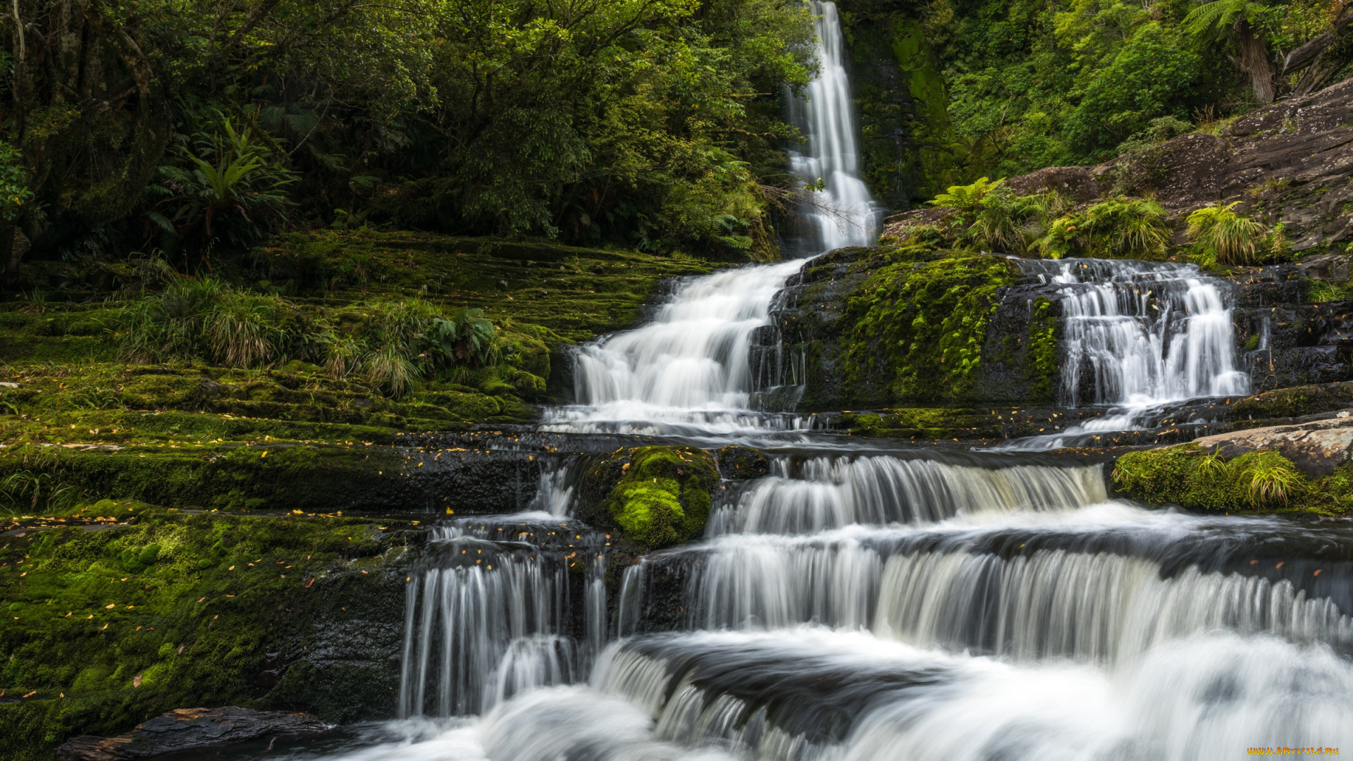 природа, водопады, лес, водопад, мох, новая, зеландия, каскад, new, zealand, tautuku, river, маклин, река, таутуку, mclean, falls