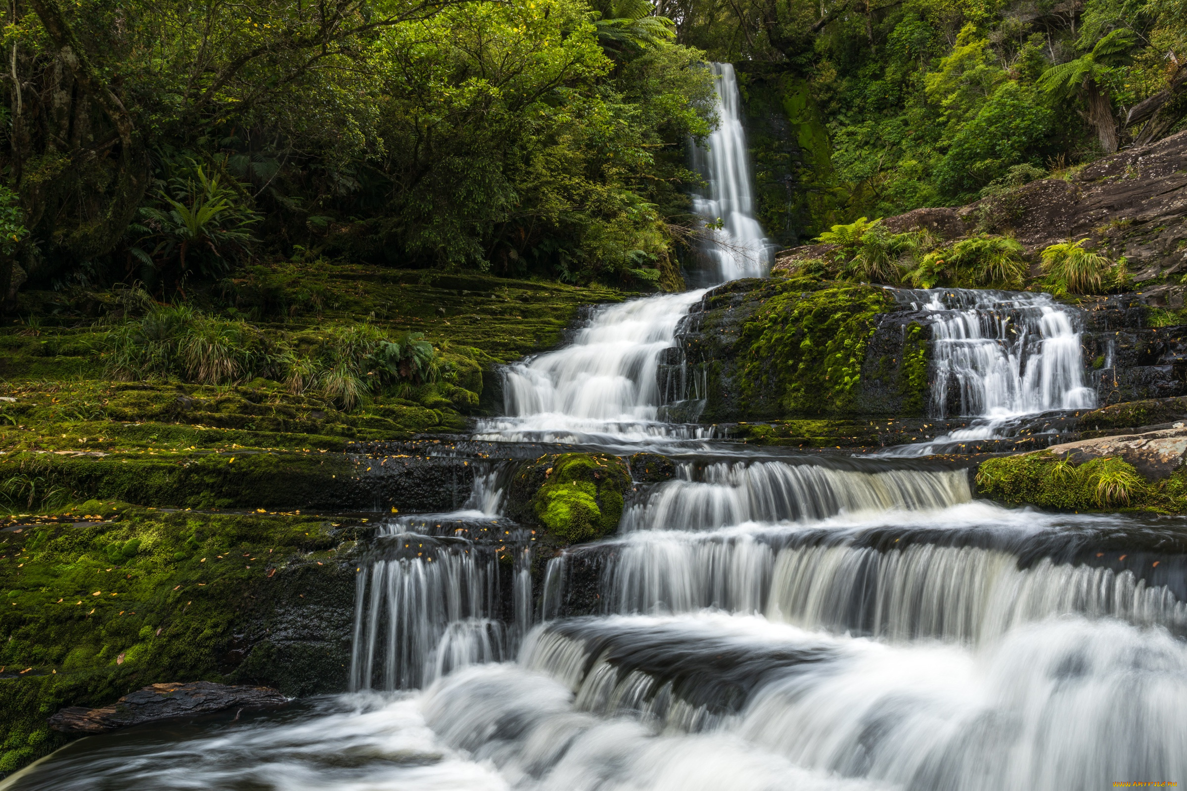 природа, водопады, лес, водопад, мох, новая, зеландия, каскад, new, zealand, tautuku, river, маклин, река, таутуку, mclean, falls