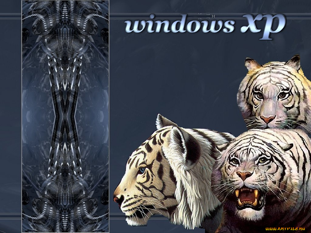 tiger, компьютеры, windows, xp
