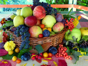 обоя еда, фрукты, ягоды, урожай, натюрморт