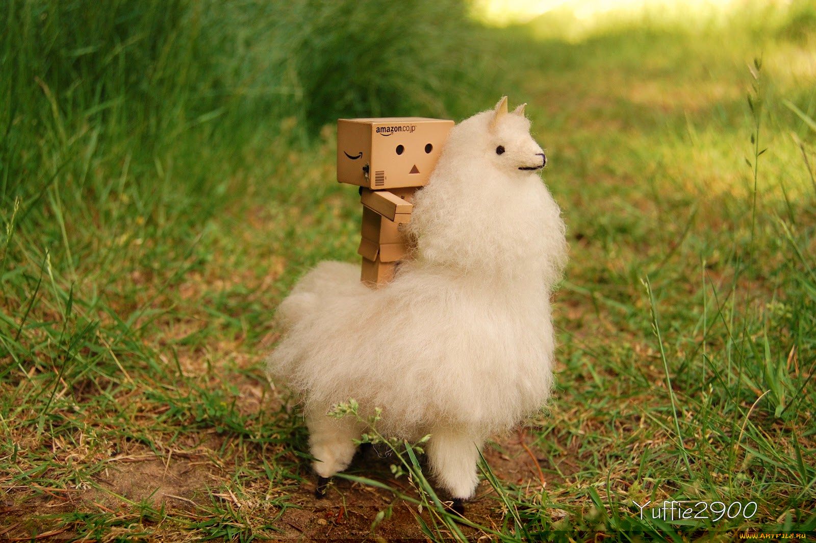 разное, данбо, danboard