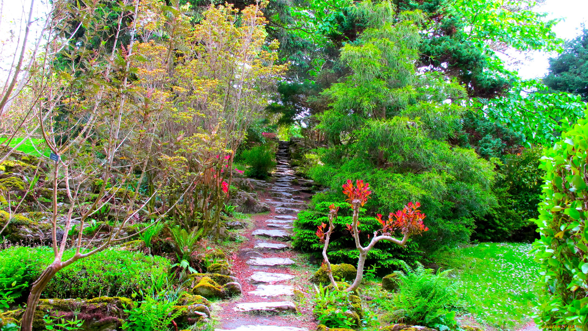 muckross, house, garden, ireland, природа, парк