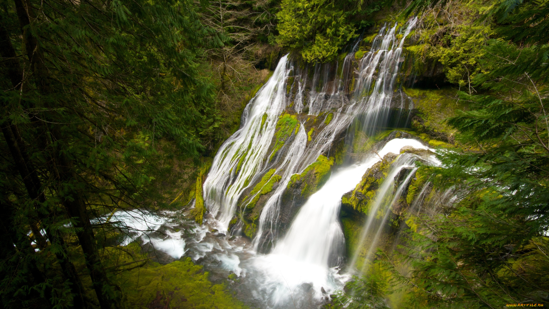 природа, водопады, usa, washington, panther, creek, falls, деревья, вода, сша, водопад, пантера, крик, лес