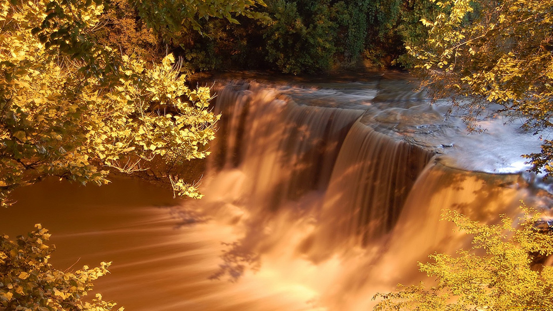 waterfall, of, gold, природа, водопады, река, осень, водопад