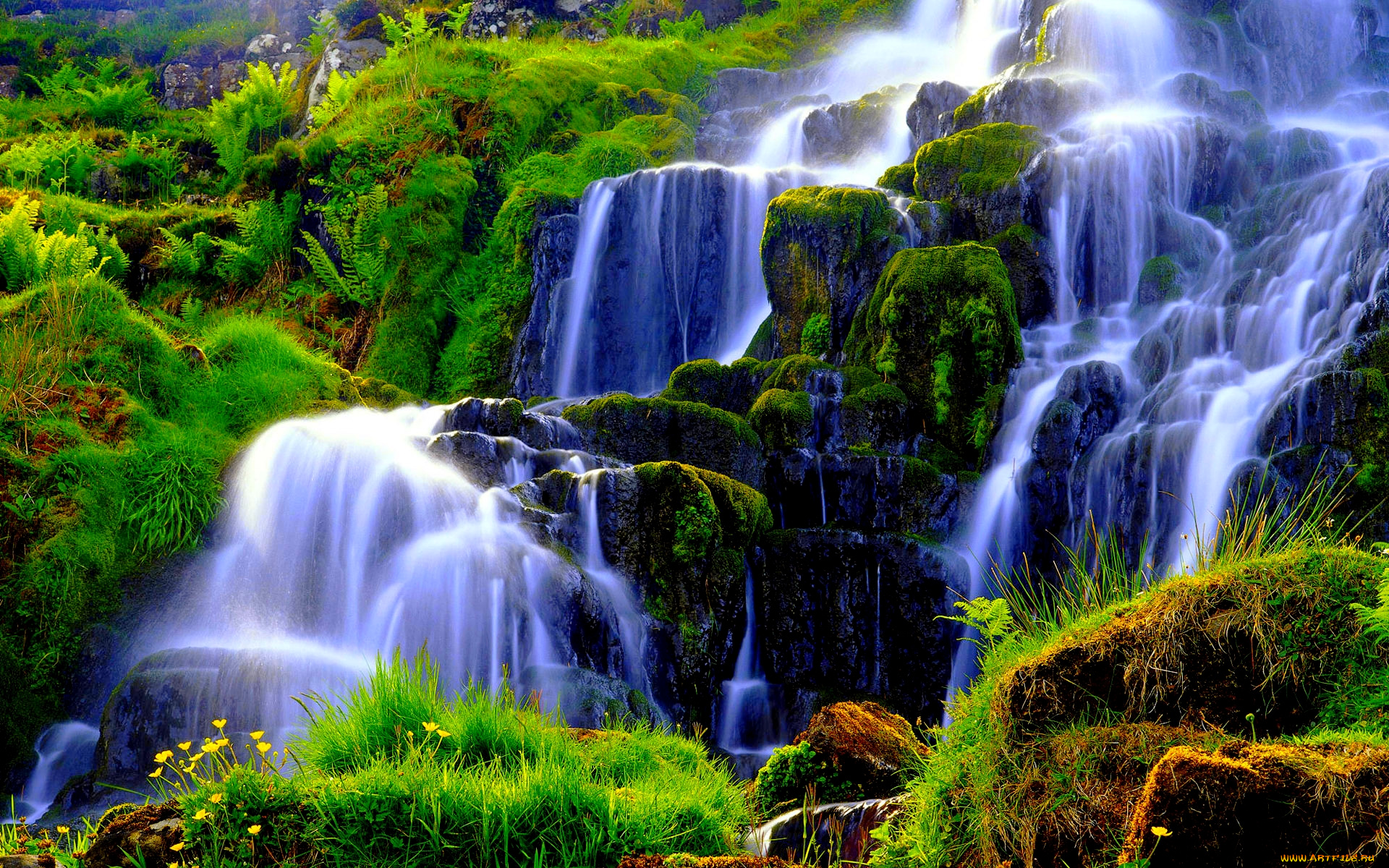 cascading, falls, природа, водопады, водопад, джунгли, тропики