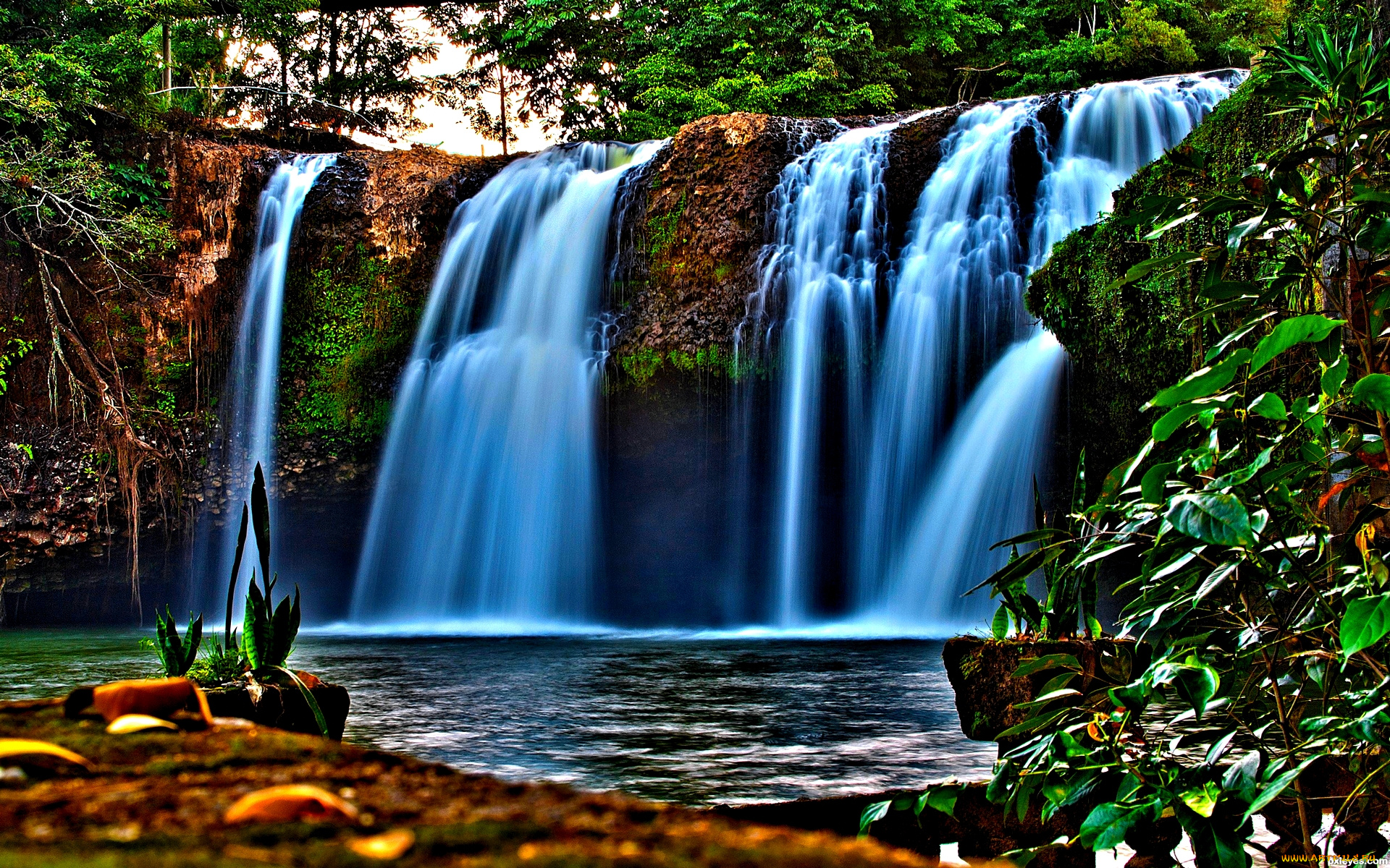 forest, falls, природа, водопады, лесной, водопад