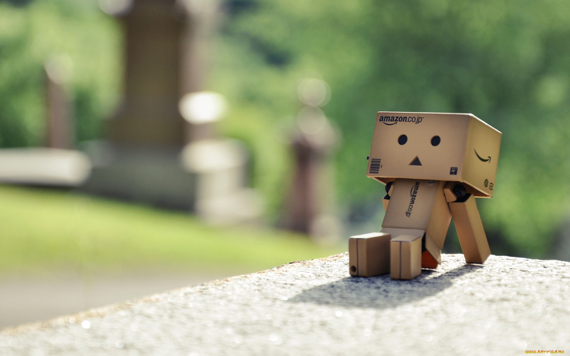 разное, данбо, danboard, dambo