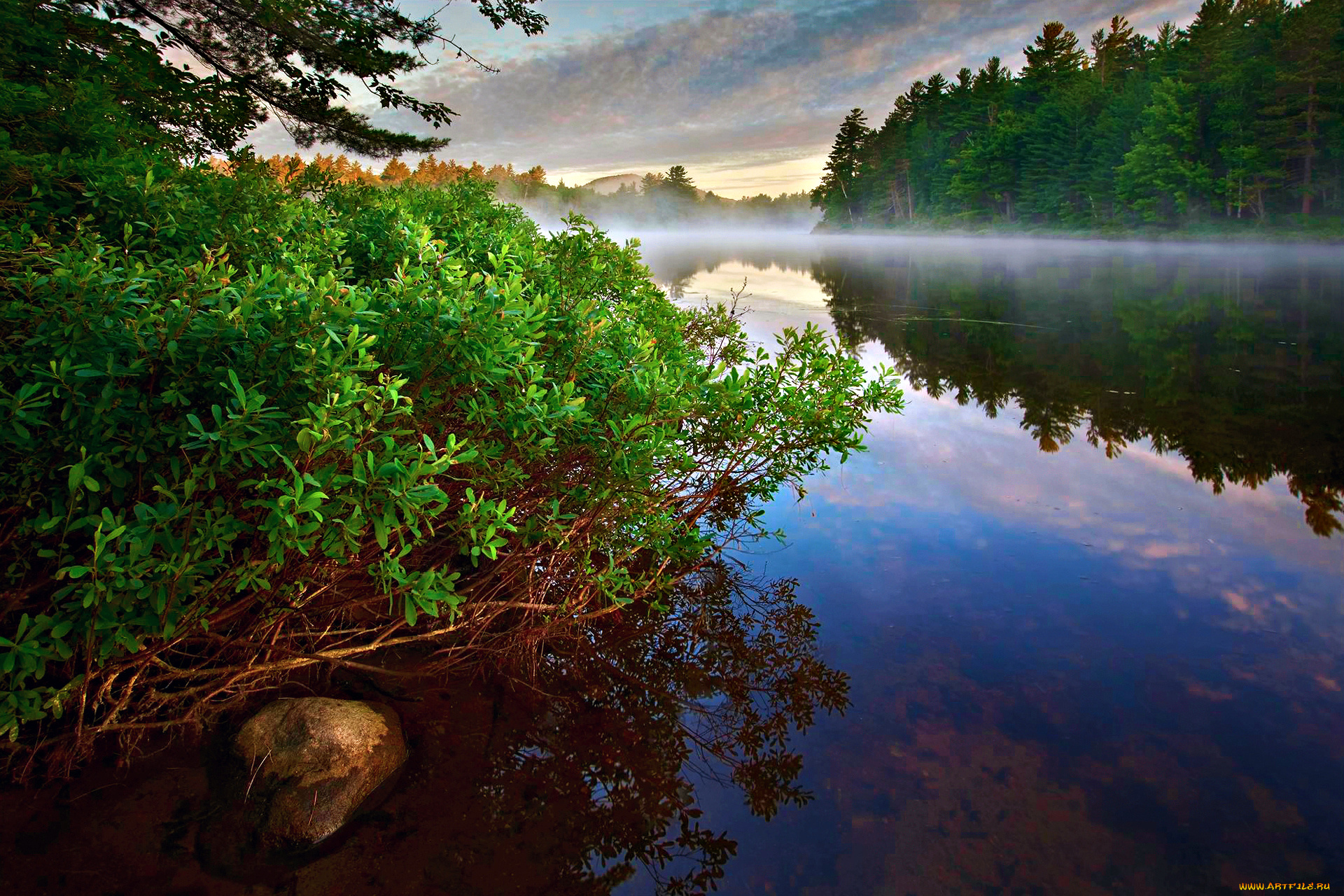 early, morning, природа, реки, озера, река, утро, туман, лес