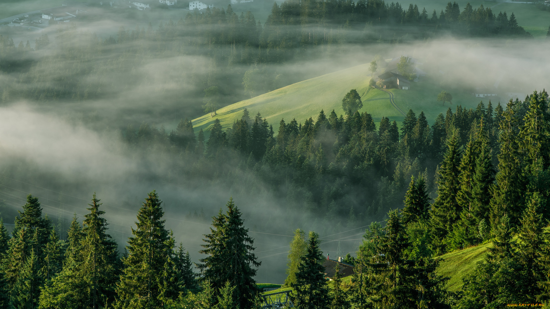 природа, лес, тироль, эльмау, alps, austria, tirol, ellmau, деревья, туман, утро, альпы, австрия