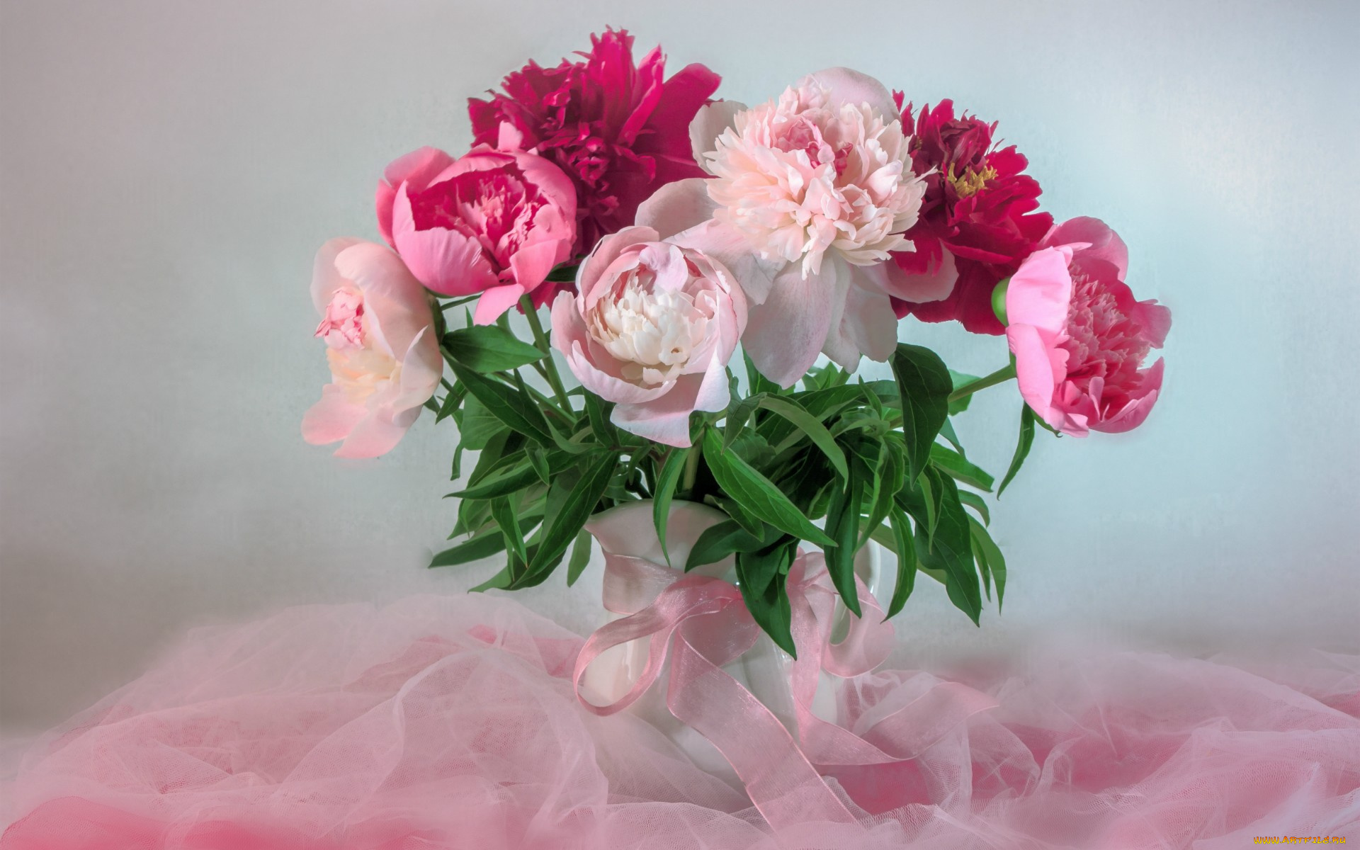 цветы, пионы, букет, нежность, розовый
