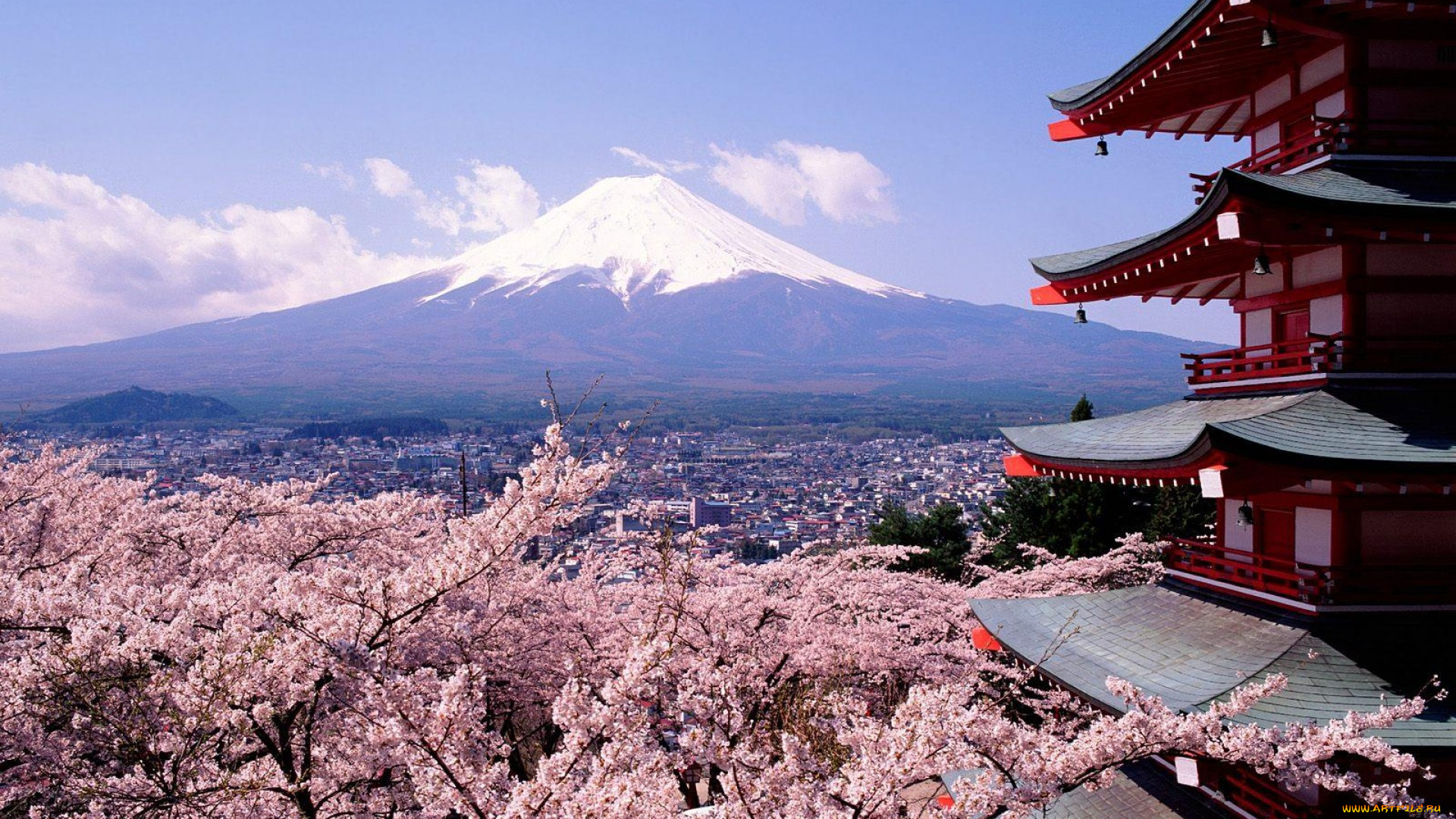 города, -, панорамы, весна, пагода, панорама, город, Япония, сакура, цветение, фудзияма, гора