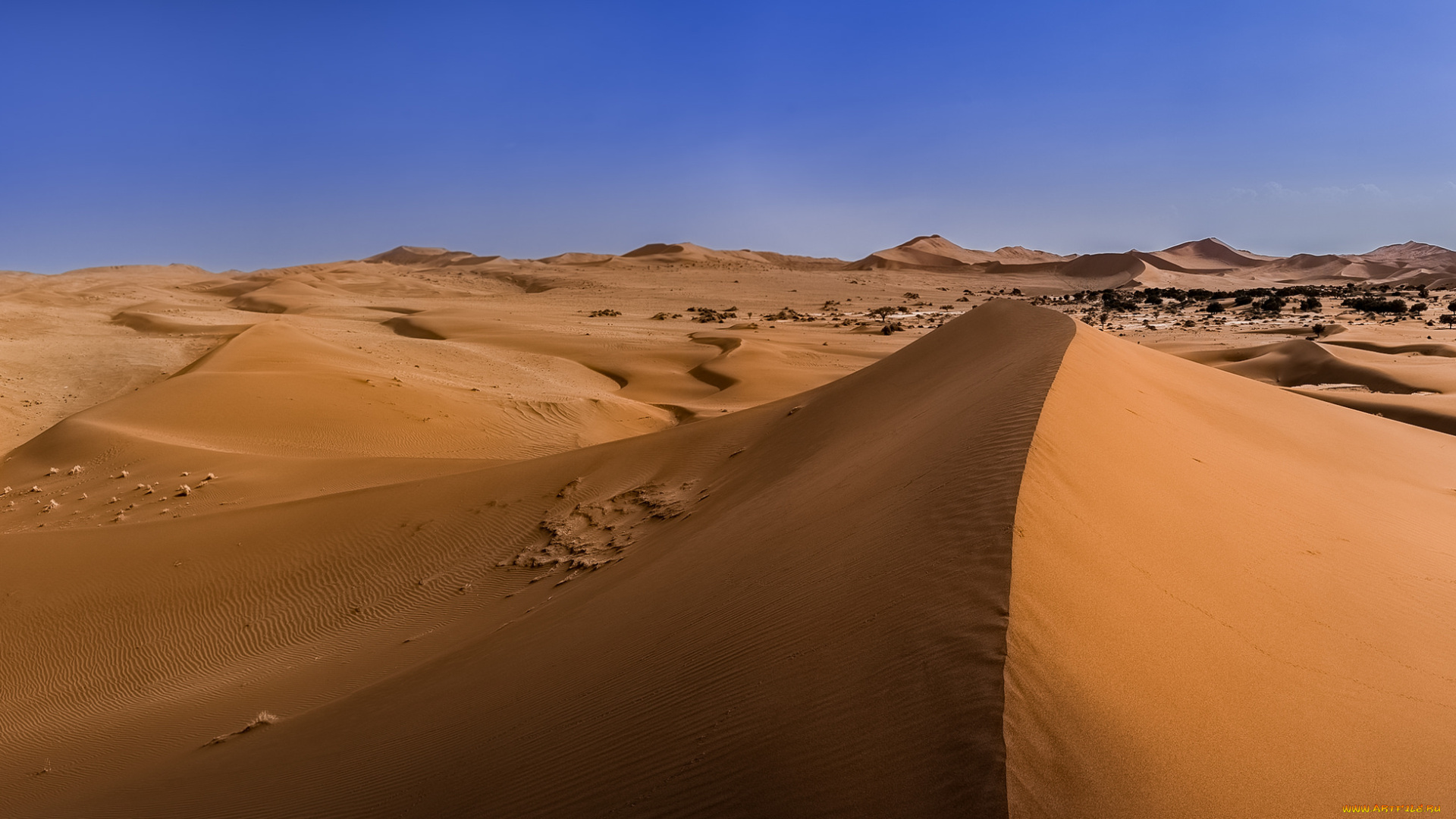 природа, пустыни, барханы, песок