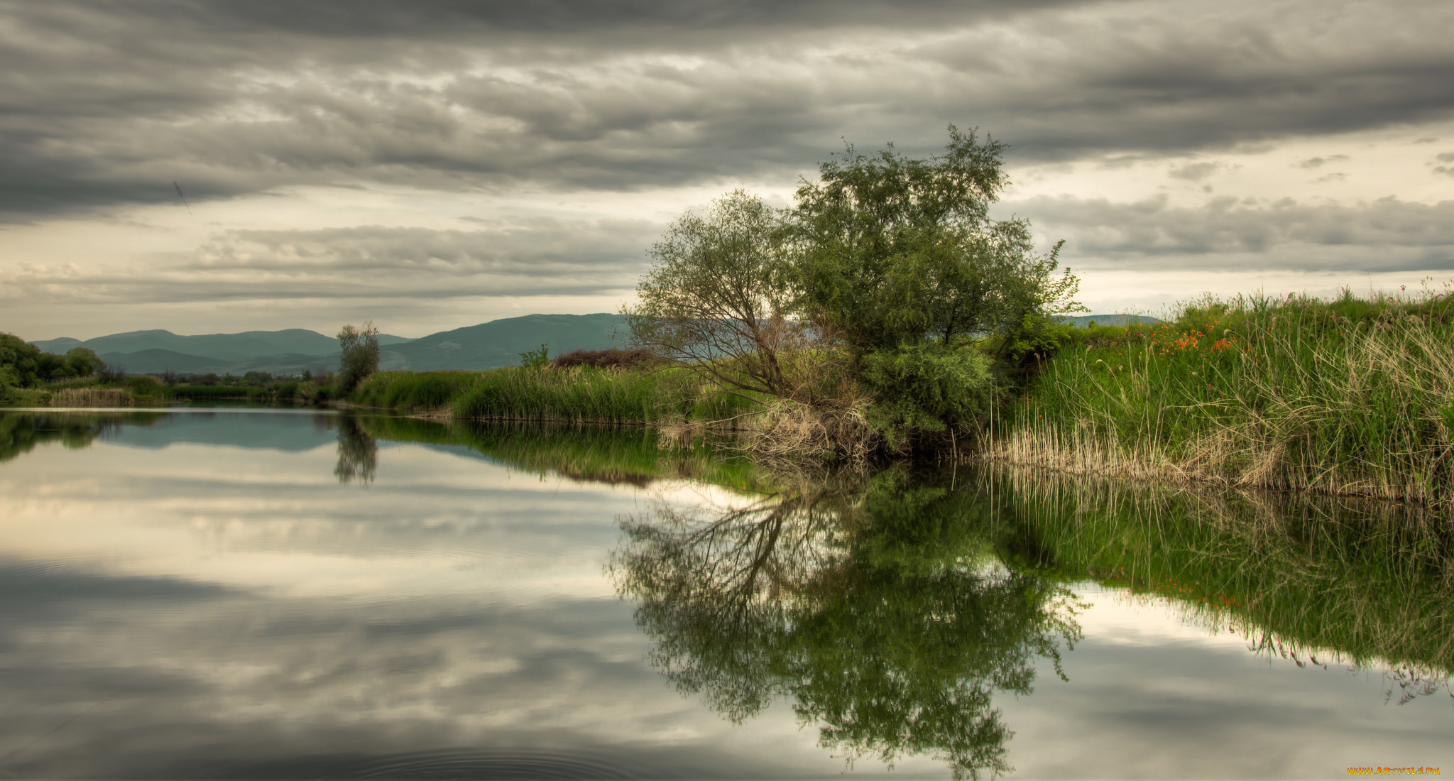 природа, реки, озера, лес, река