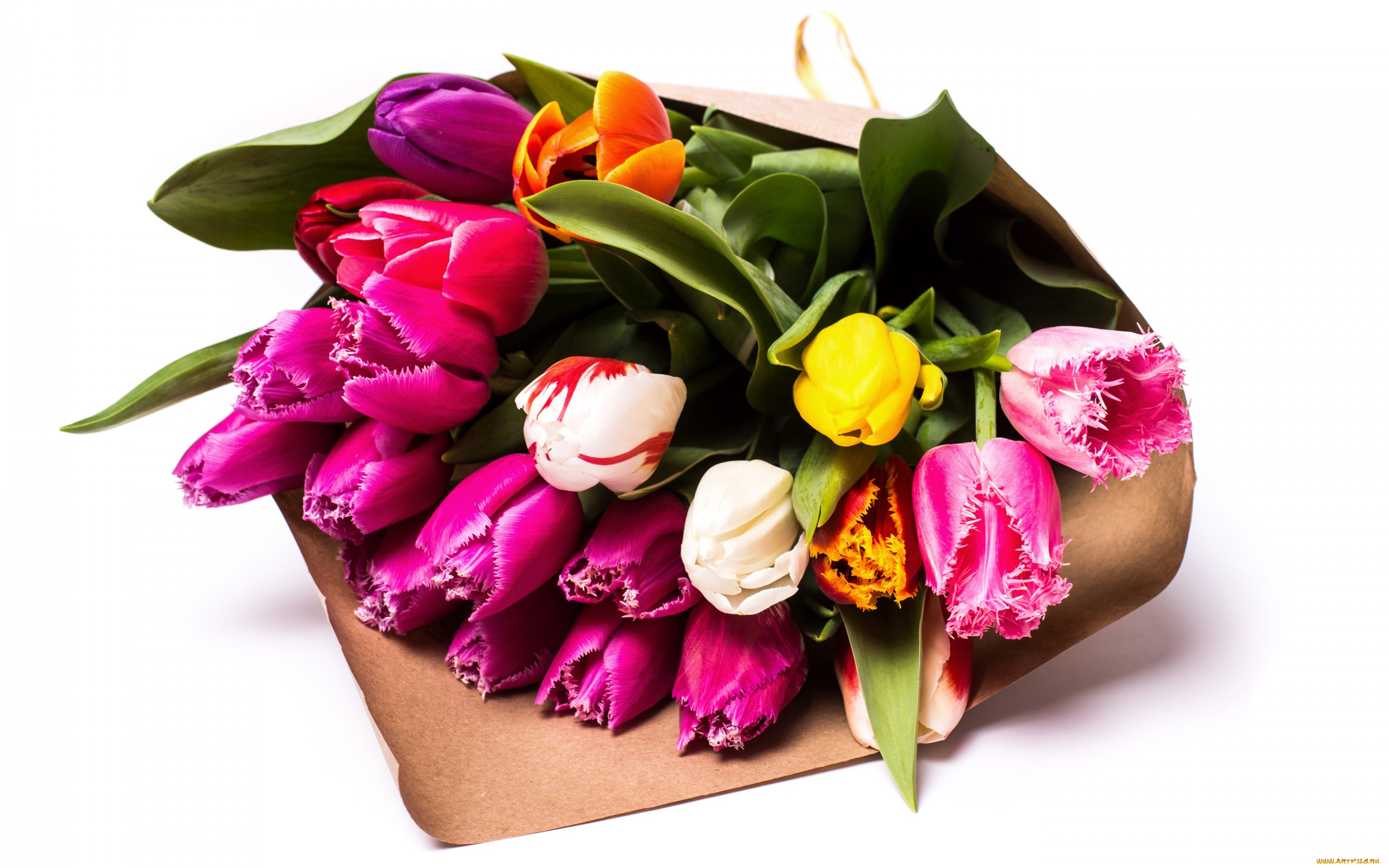 цветы, тюльпаны, букет, color, tulips, bouquets