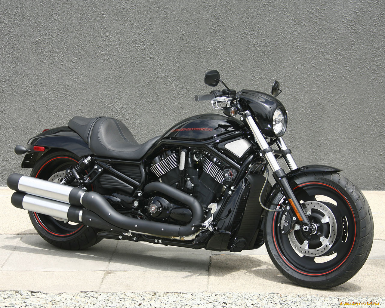 harley, davidson, vrscdx, rod, 2008, мотоциклы