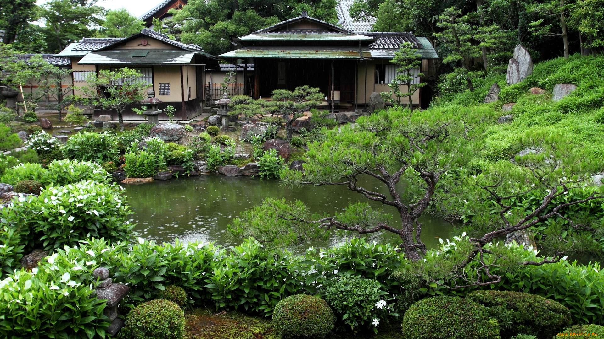 сад, хигасияма, киото, Япония, природа, парк, деревья, пруд, пагода