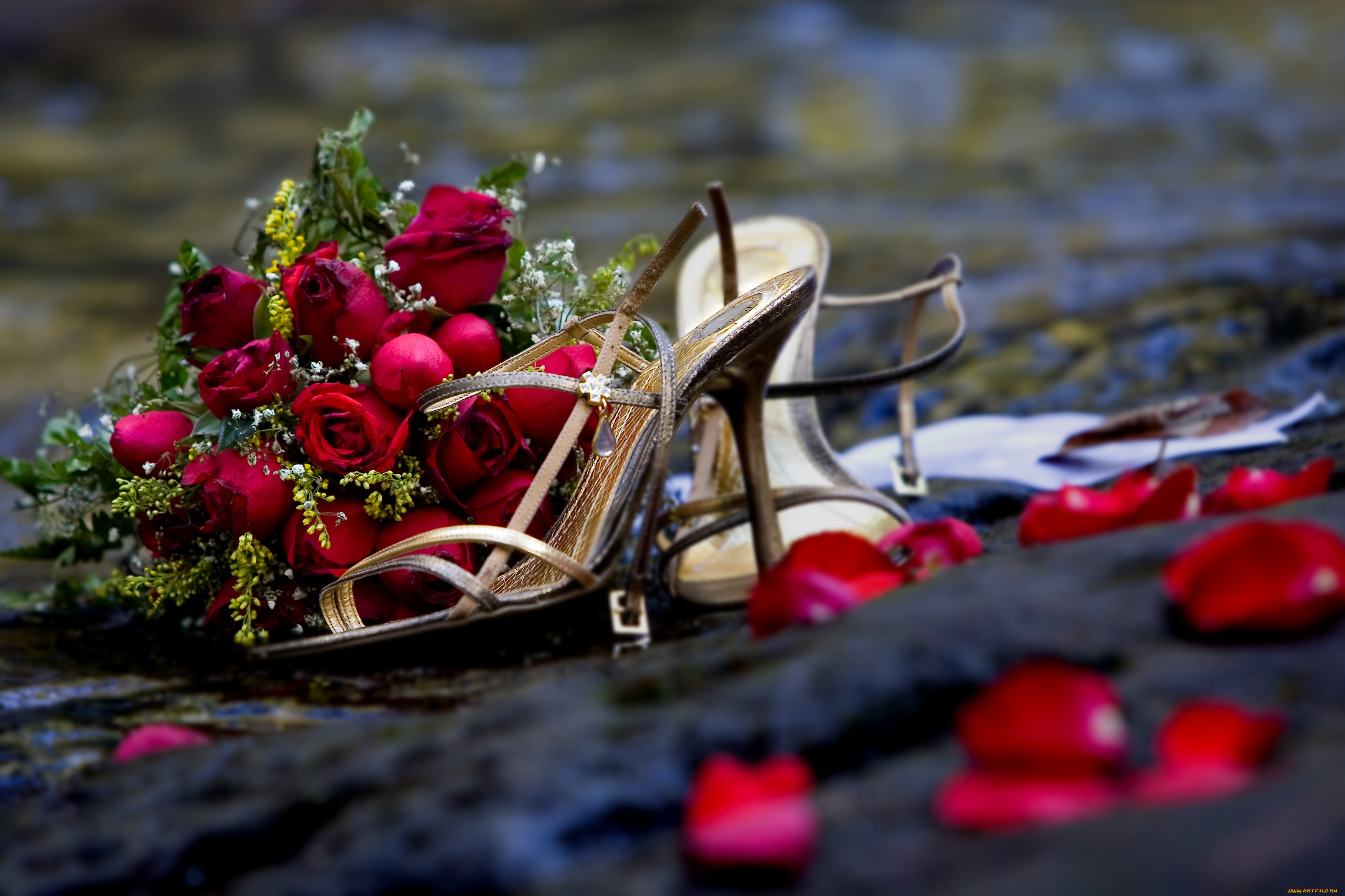 разное, одежда, обувь, текстиль, экипировка, розы, романтика, букет, цветы