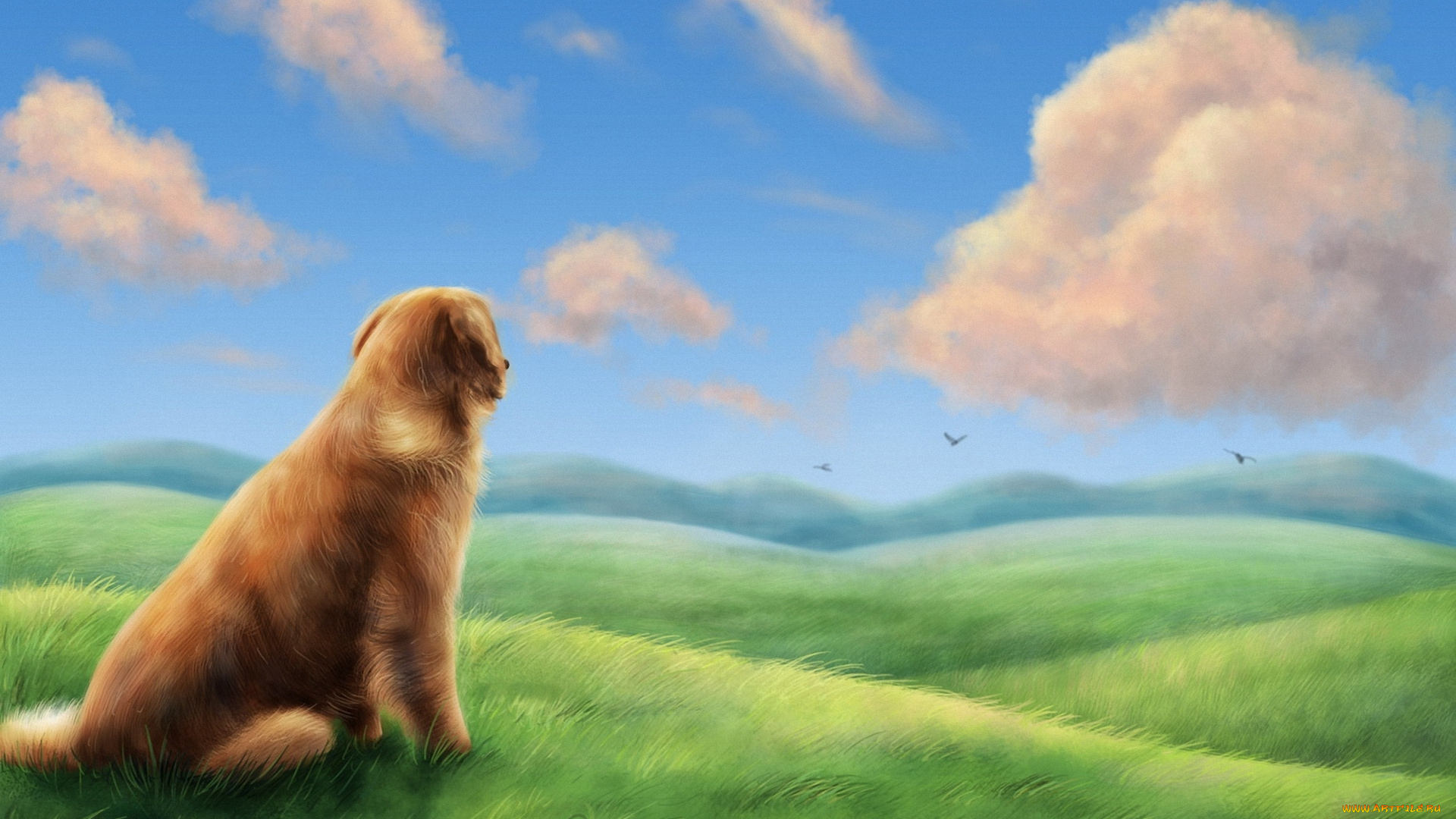 рисованные, животные, собаки, ветер, трава, поле, облака, холмы, птицы, собака