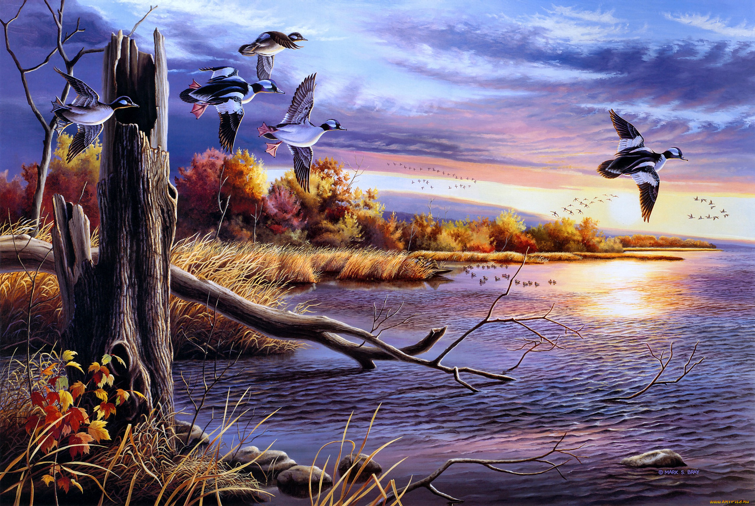 autumn, waters, рисованные, живопись, осень, озеро, утки