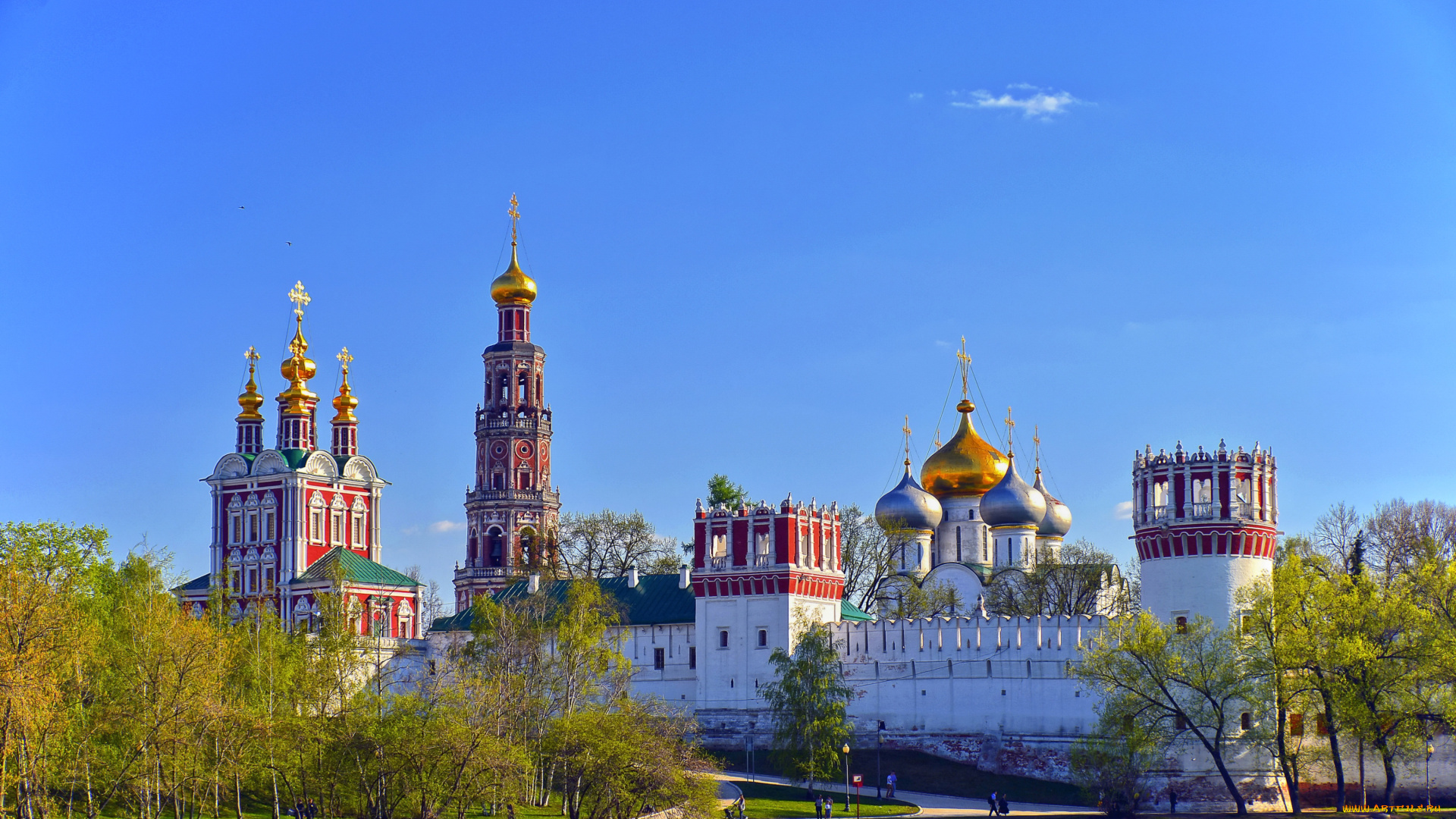 новодевичий, монастырь, города, православные, церкви, монастыри, купола