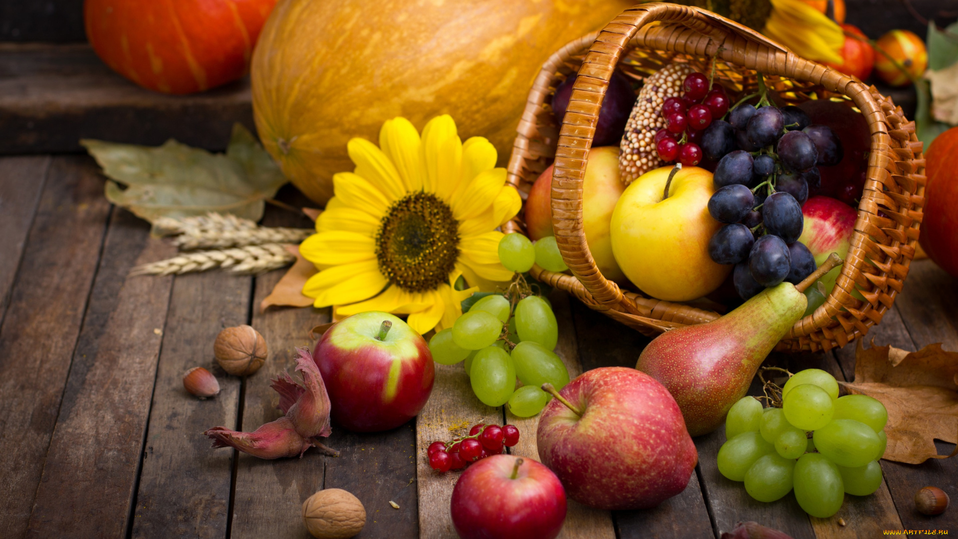 еда, фрукты, и, овощи, вместе, autumn, harvest, still, life, fruits, leaves, pumpkin, nuts, осень, дистья, урожай, тыква