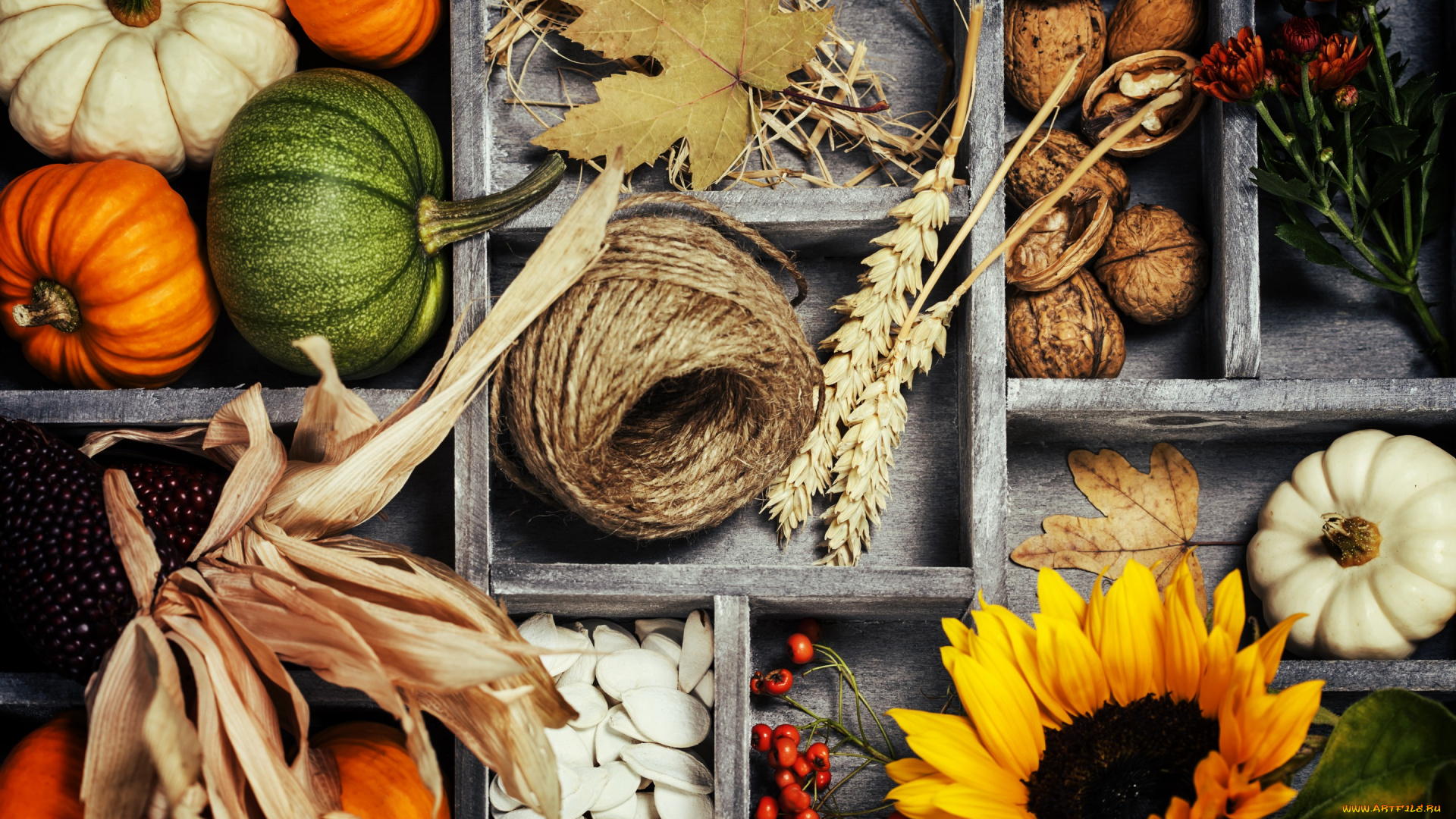 еда, разное, harvest, урожай, тыква, овощи, autumn, листья, осень, still, life, vegetables, корзина